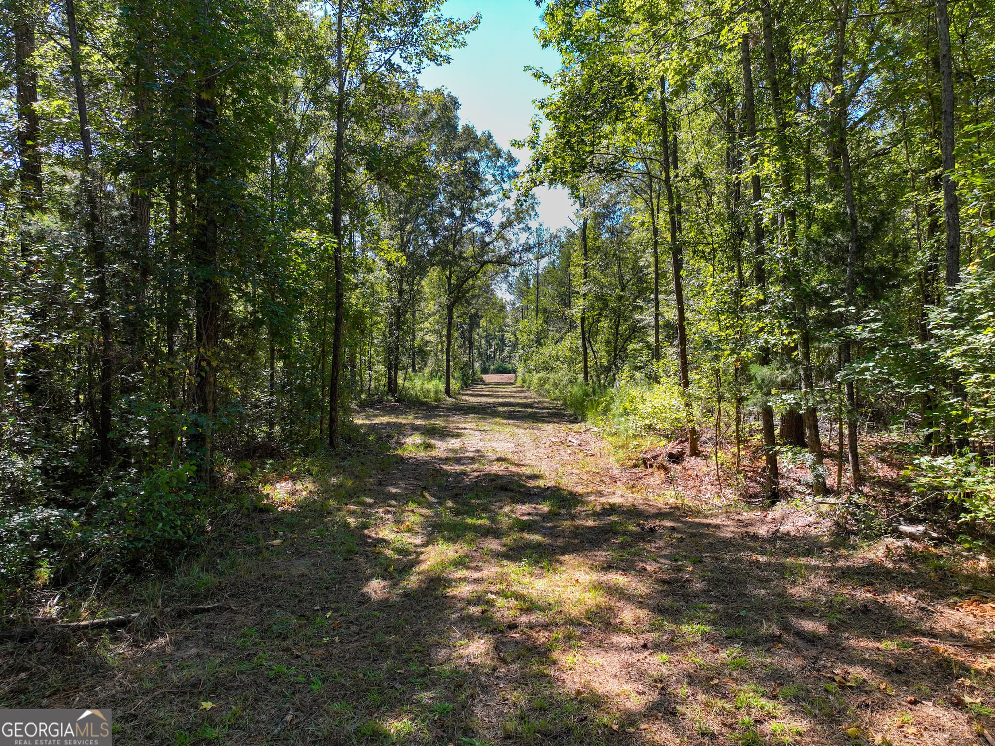 agriculture for sale at 0 Buck Run Road, Talbotton, GA 31827 — photo 4