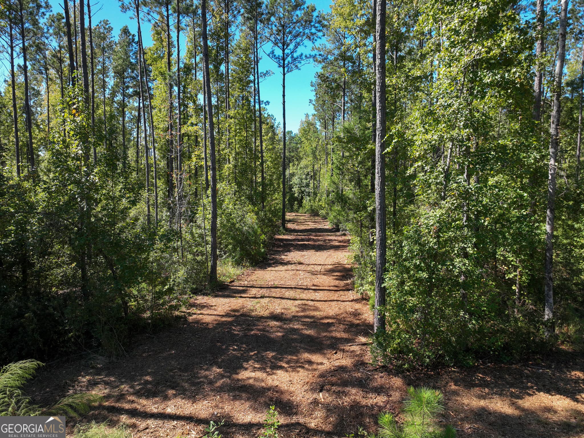 agriculture for sale at 0 Buck Run Road, Talbotton, GA 31827 — photo 8