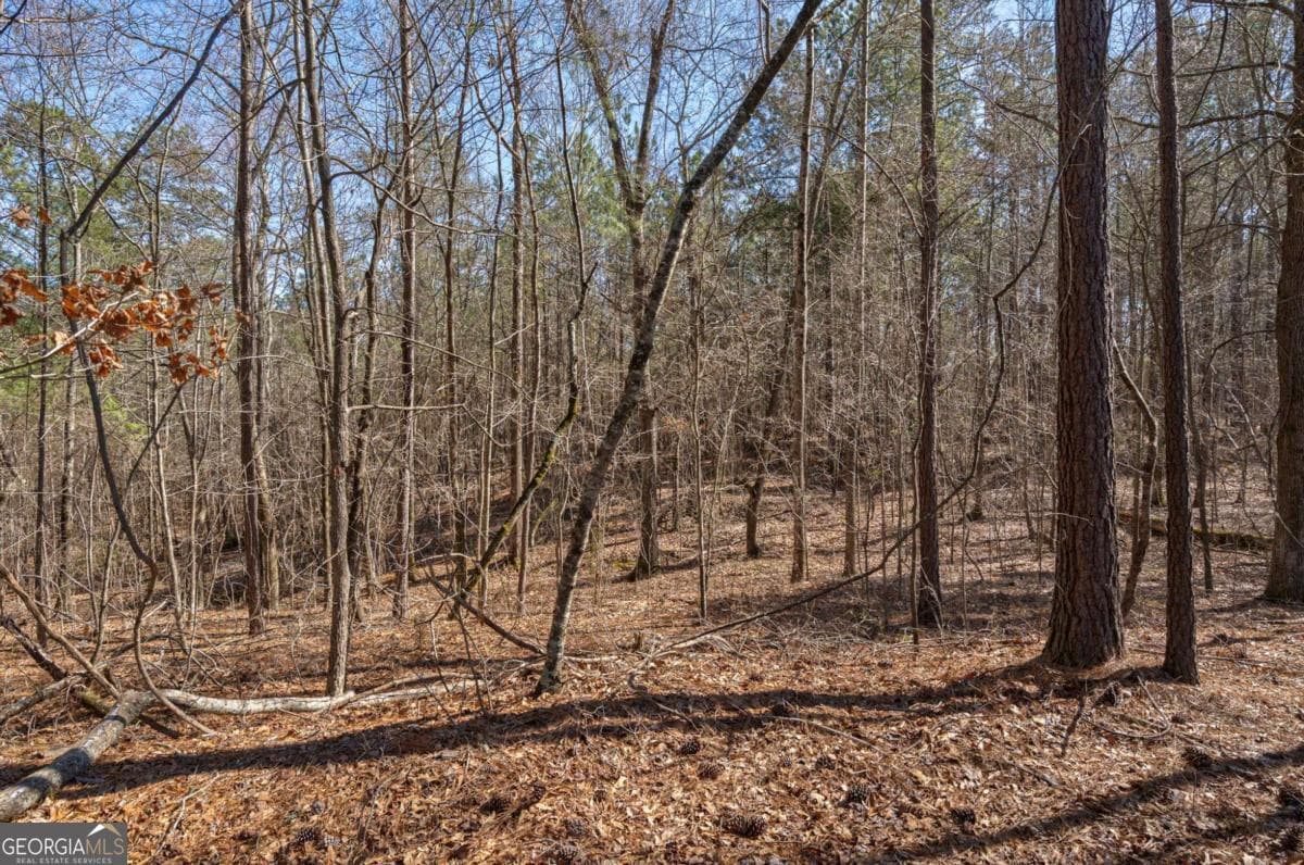 unimproved land for sale at 0 Kent Rock Road, Loganville, GA 30052 — photo 2