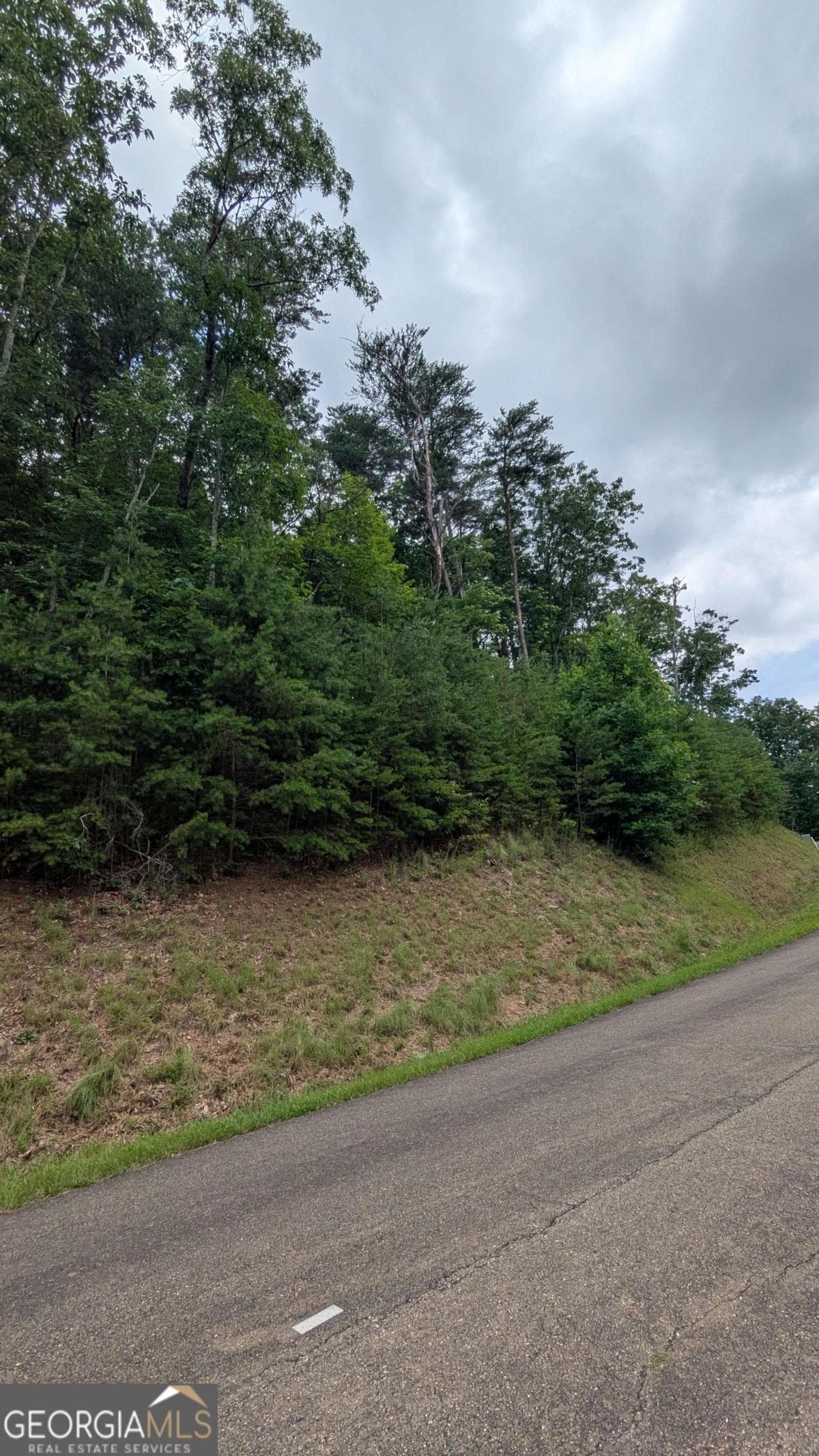 residential lot for sale at 232 Stone Cliff Drive, Ellijay, GA 30536 — photo 2