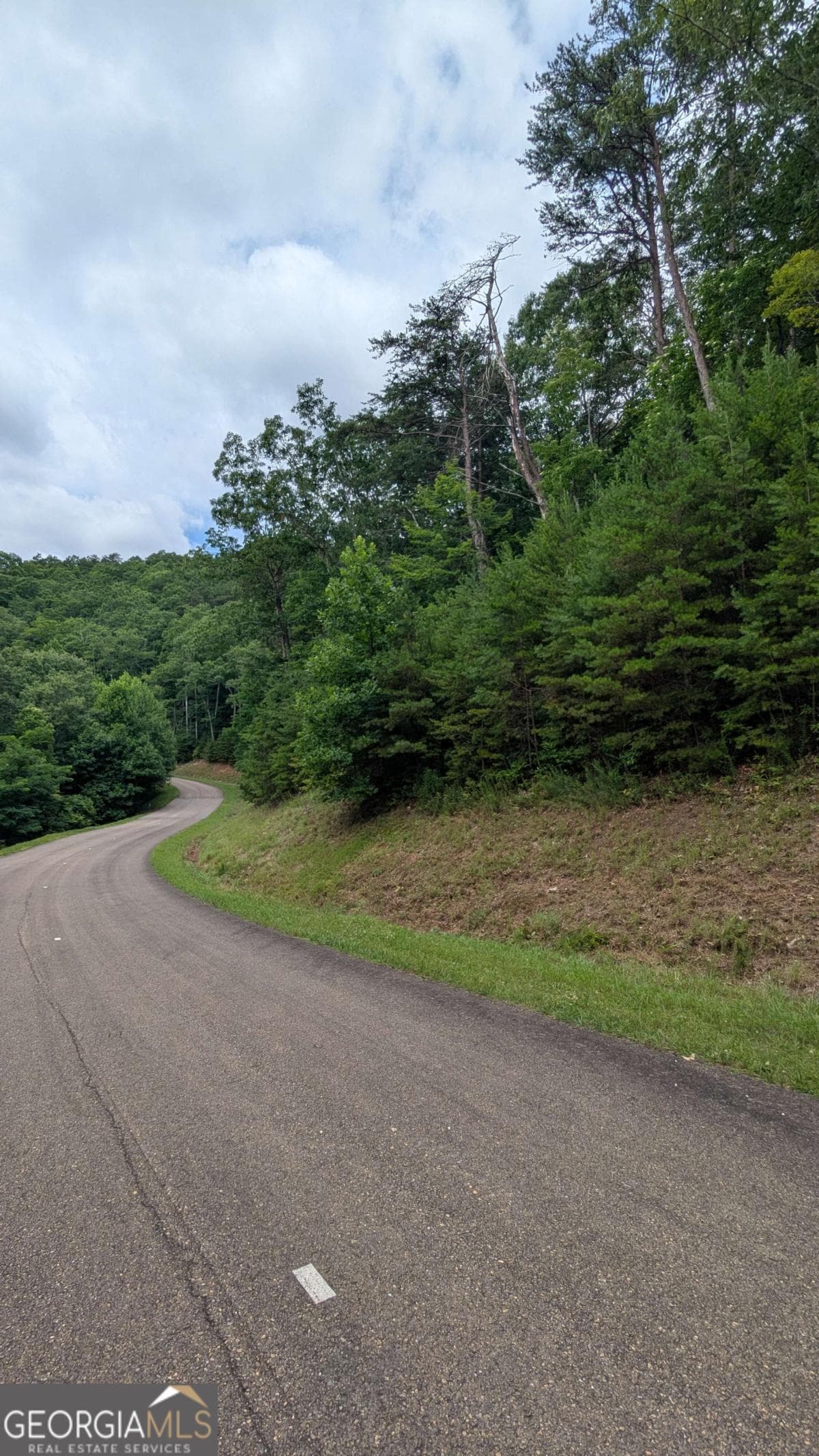 residential lot for sale at 232 Stone Cliff Drive, Ellijay, GA 30536 — photo 6