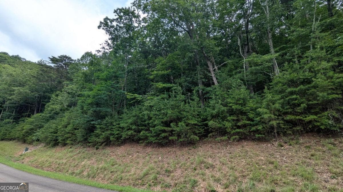 residential lot for sale at 232 Stone Cliff Drive, Ellijay, GA 30536 — photo 7