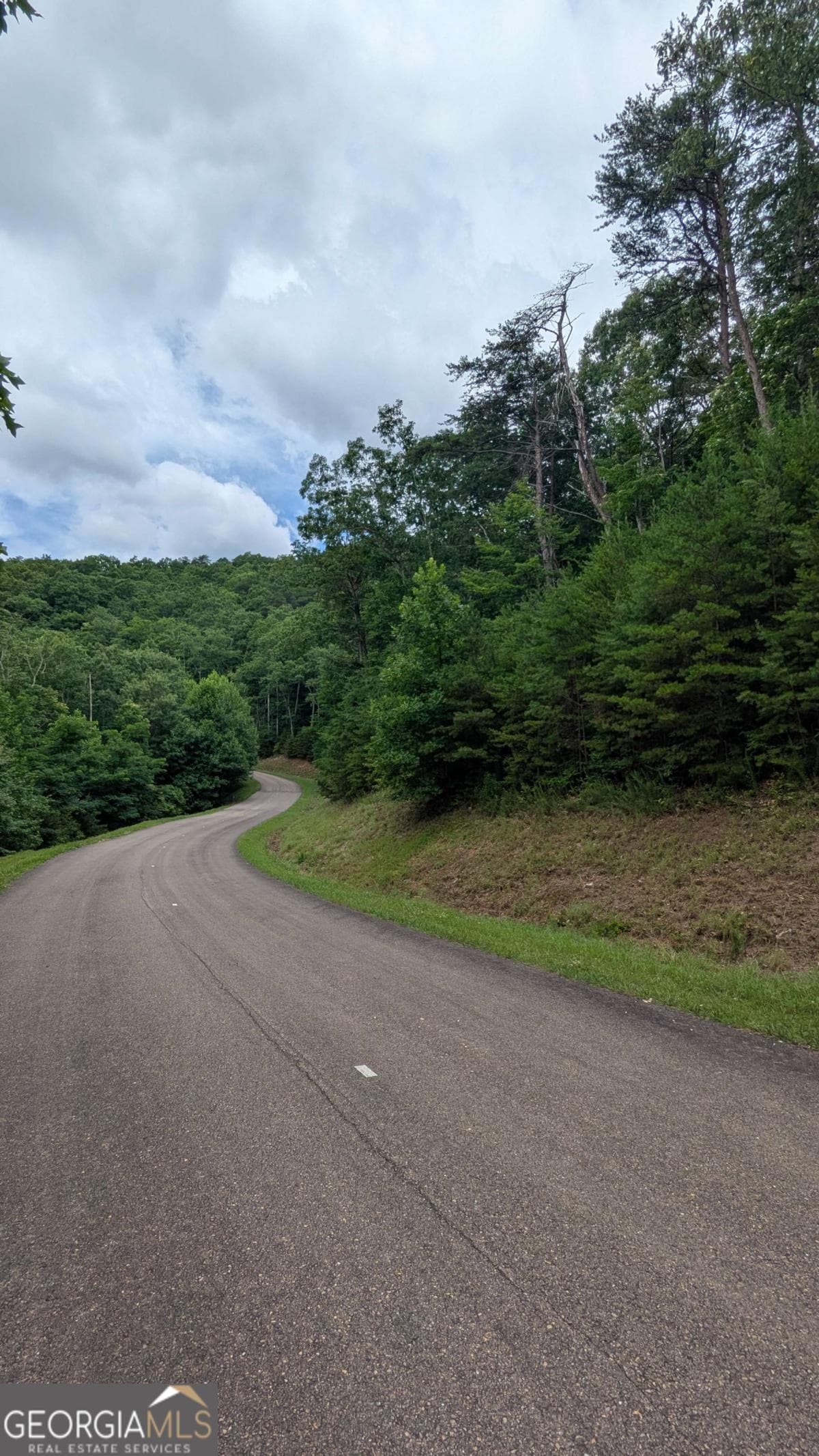 residential lot for sale at 232 Stone Cliff Drive, Ellijay, GA 30536 — photo 3