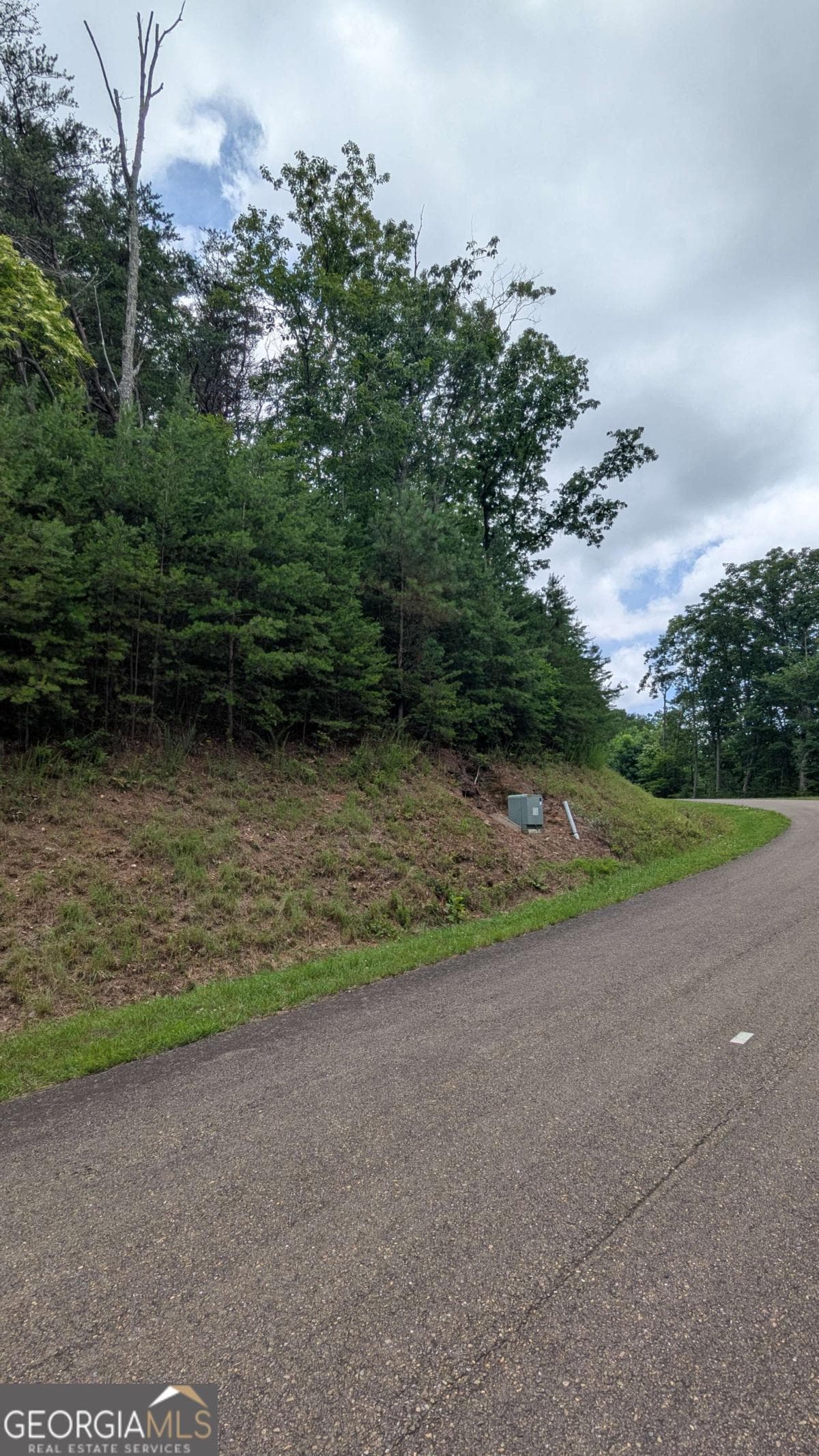 residential lot for sale at 232 Stone Cliff Drive, Ellijay, GA 30536 — photo 5