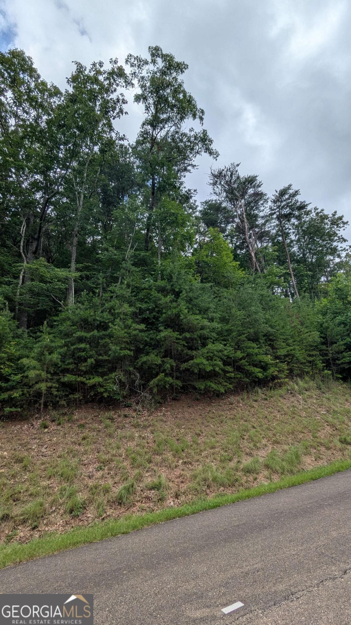 residential lot for sale at 232 Stone Cliff Drive, Ellijay, GA 30536 — photo 9