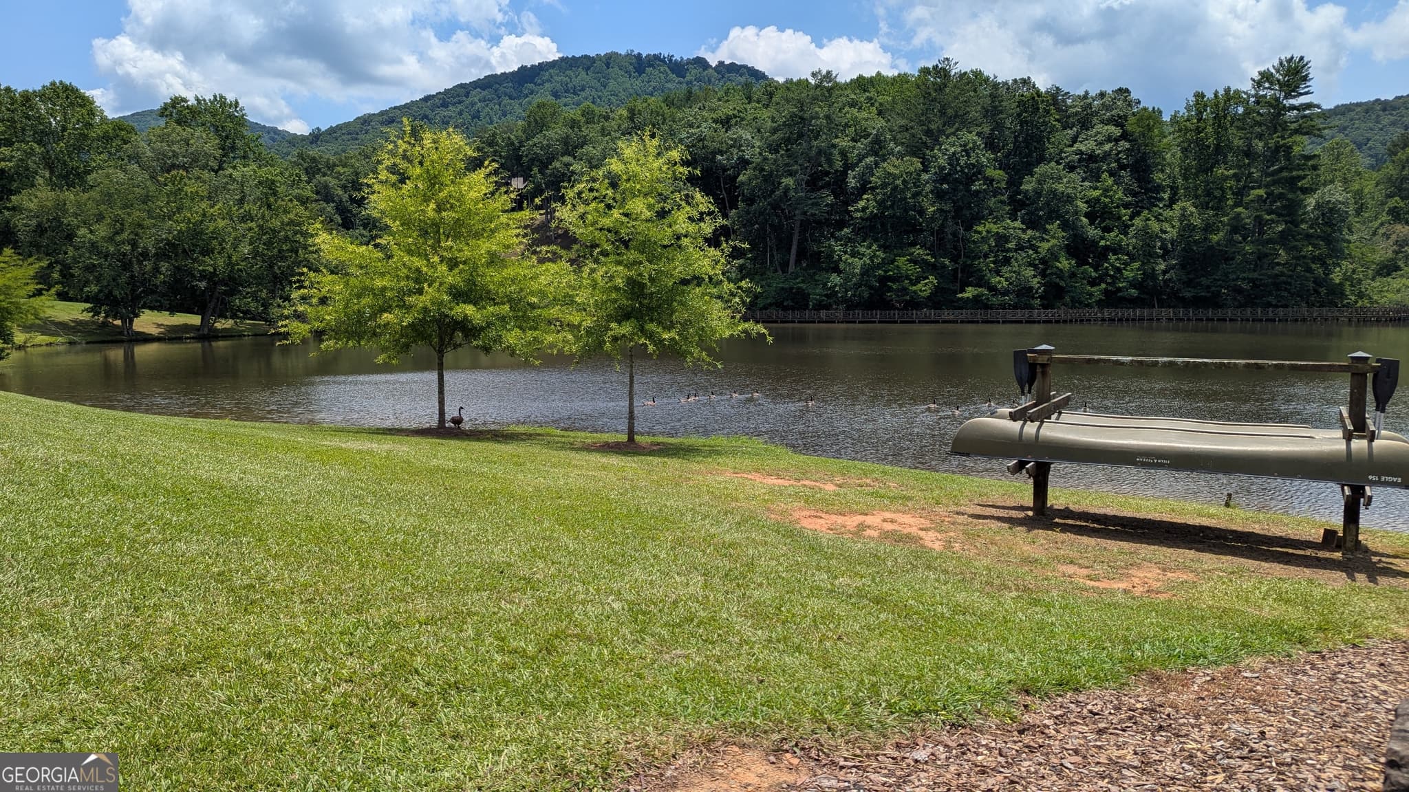 residential lot for sale at 232 Stone Cliff Drive, Ellijay, GA 30536 — photo 10