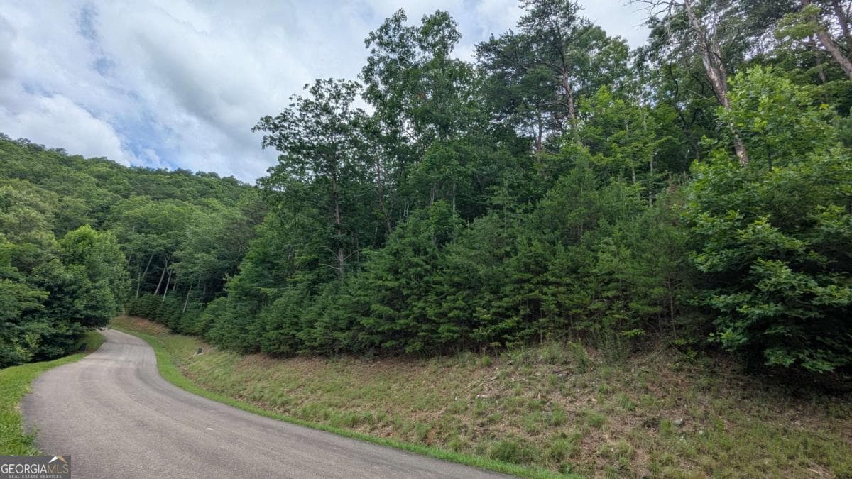 residential lot for sale at 232 Stone Cliff Drive, Ellijay, GA 30536 — photo 4