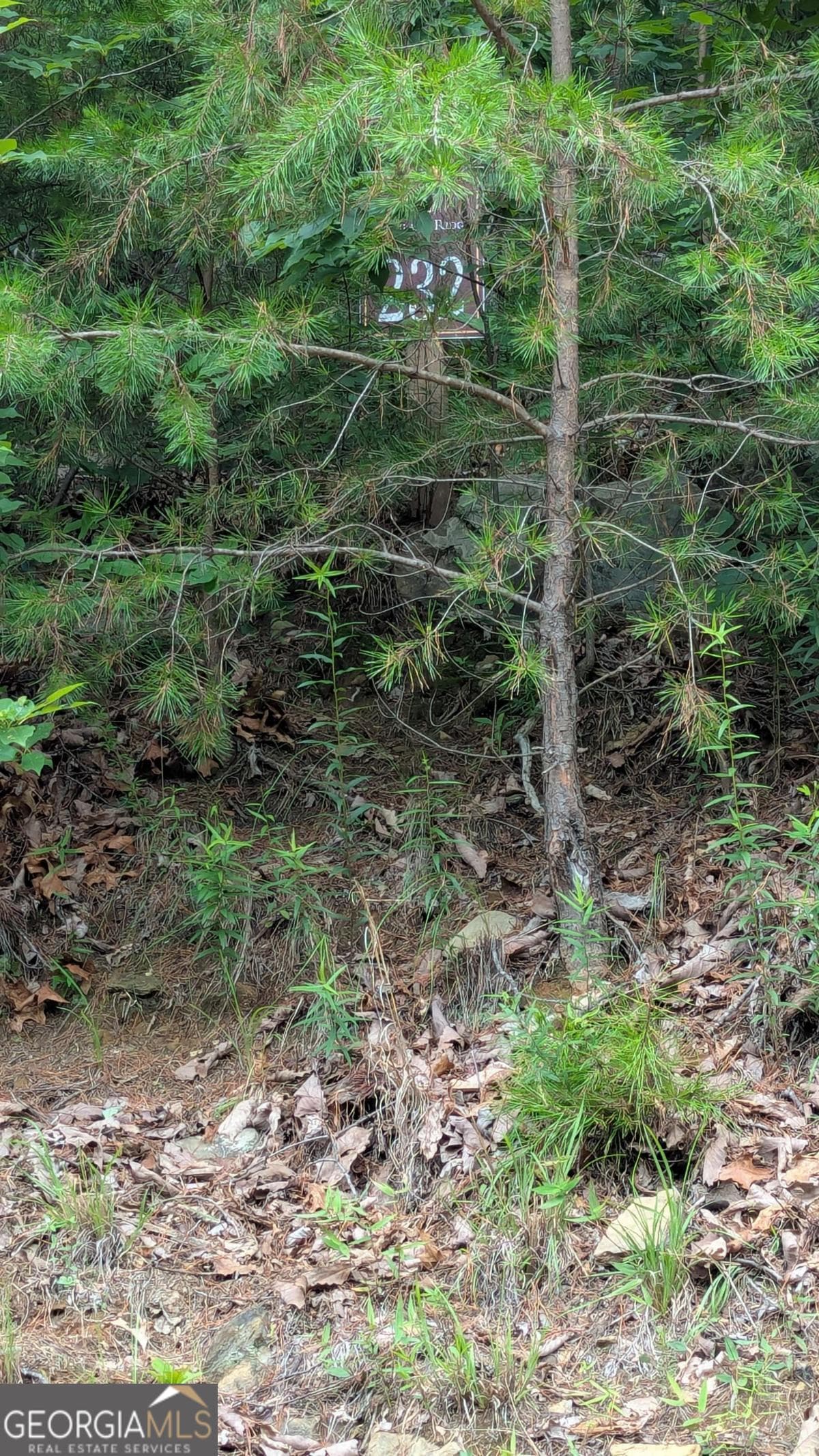 residential lot for sale at 232 Stone Cliff Drive, Ellijay, GA 30536 — photo 8