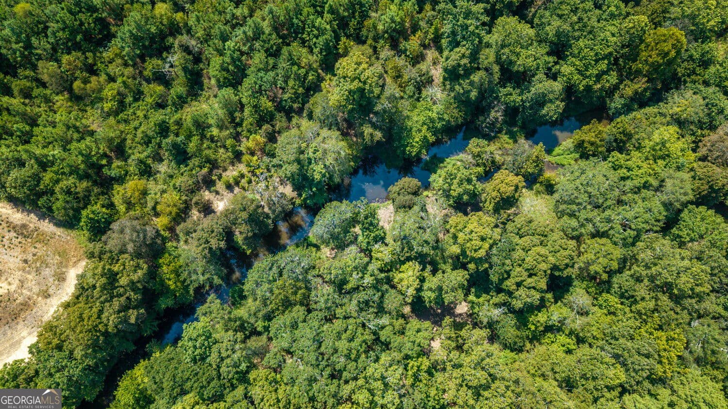 unimproved land for sale at 0 Livingston Road, Rome, GA 30161 — photo 6