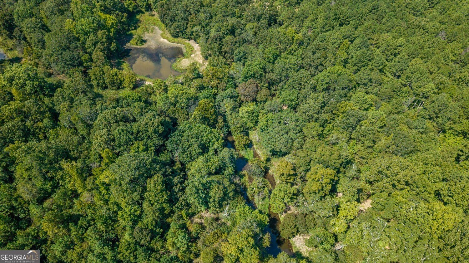 unimproved land for sale at 0 Livingston Road, Rome, GA 30161 — photo 5