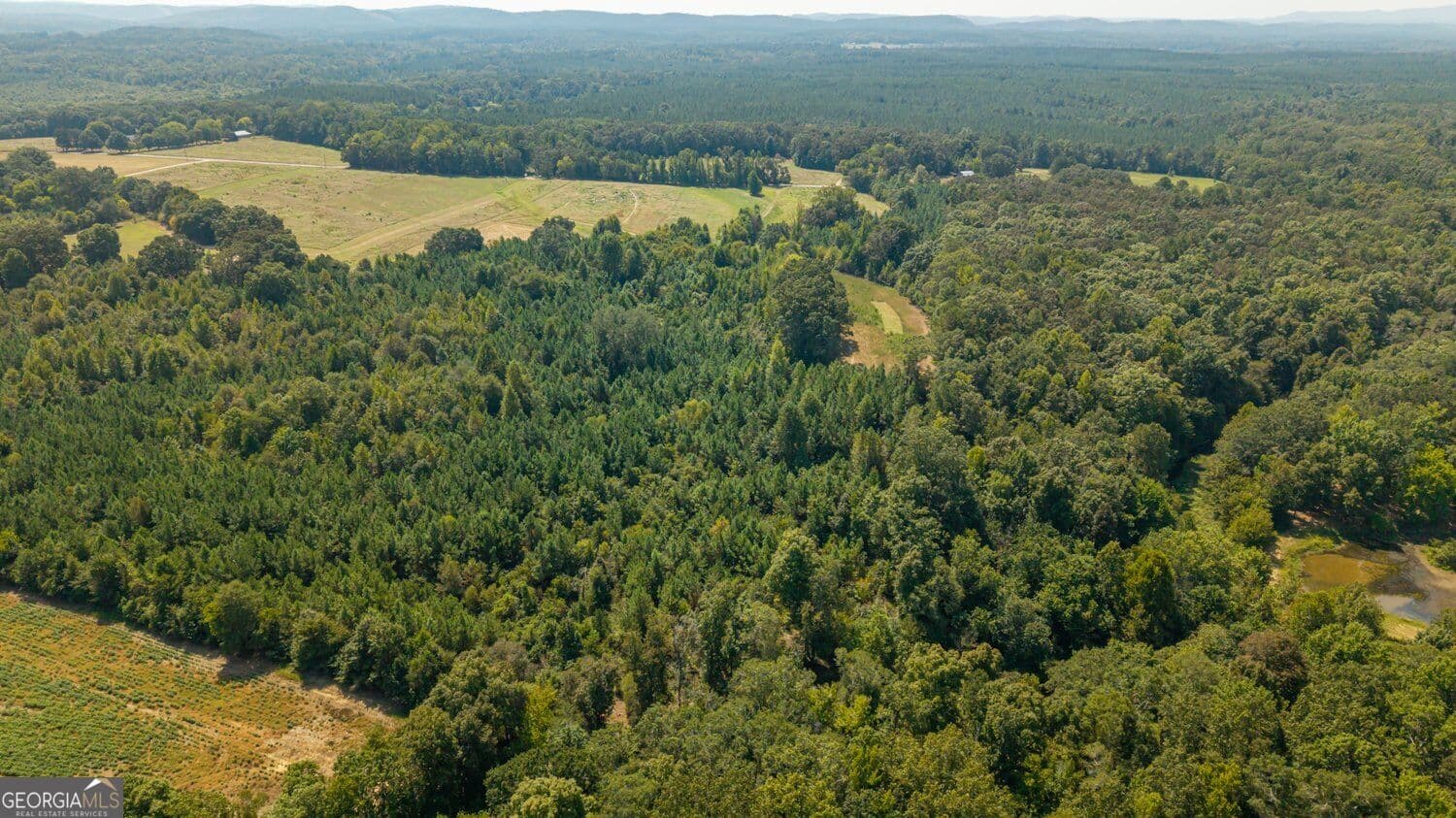 unimproved land for sale at 0 Livingston Road, Rome, GA 30161 — photo 4