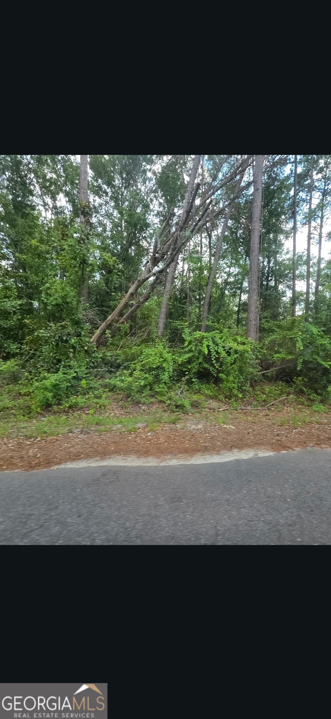 residential lot for sale at 0 Johnson Street, Baxley, GA 31513 — photo 3