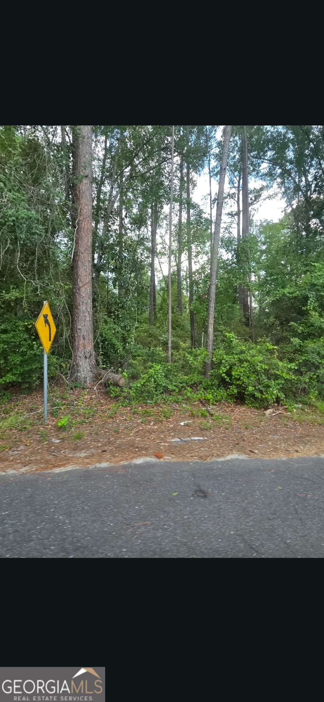 residential lot for sale at 0 Johnson Street, Baxley, GA 31513