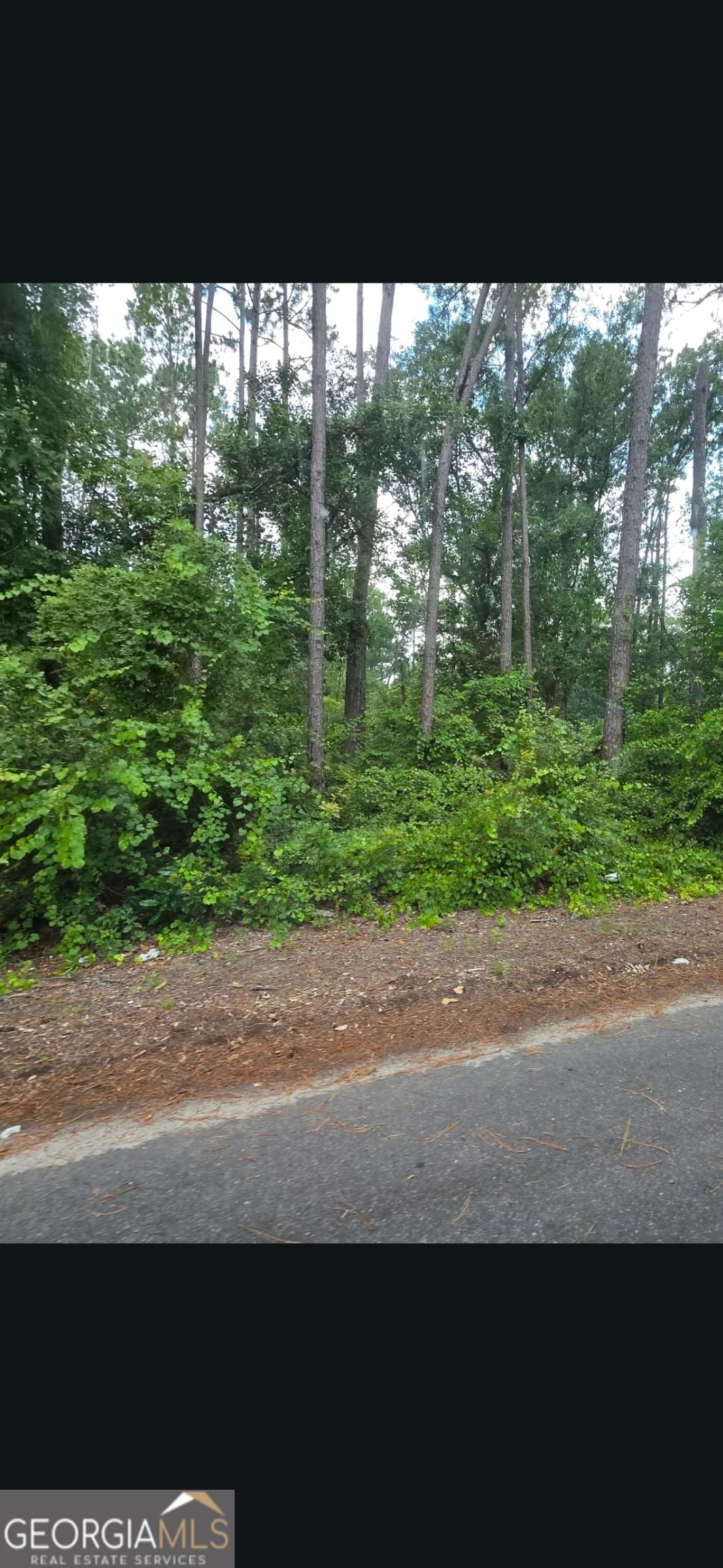 residential lot for sale at 0 Johnson Street, Baxley, GA 31513 — photo 5