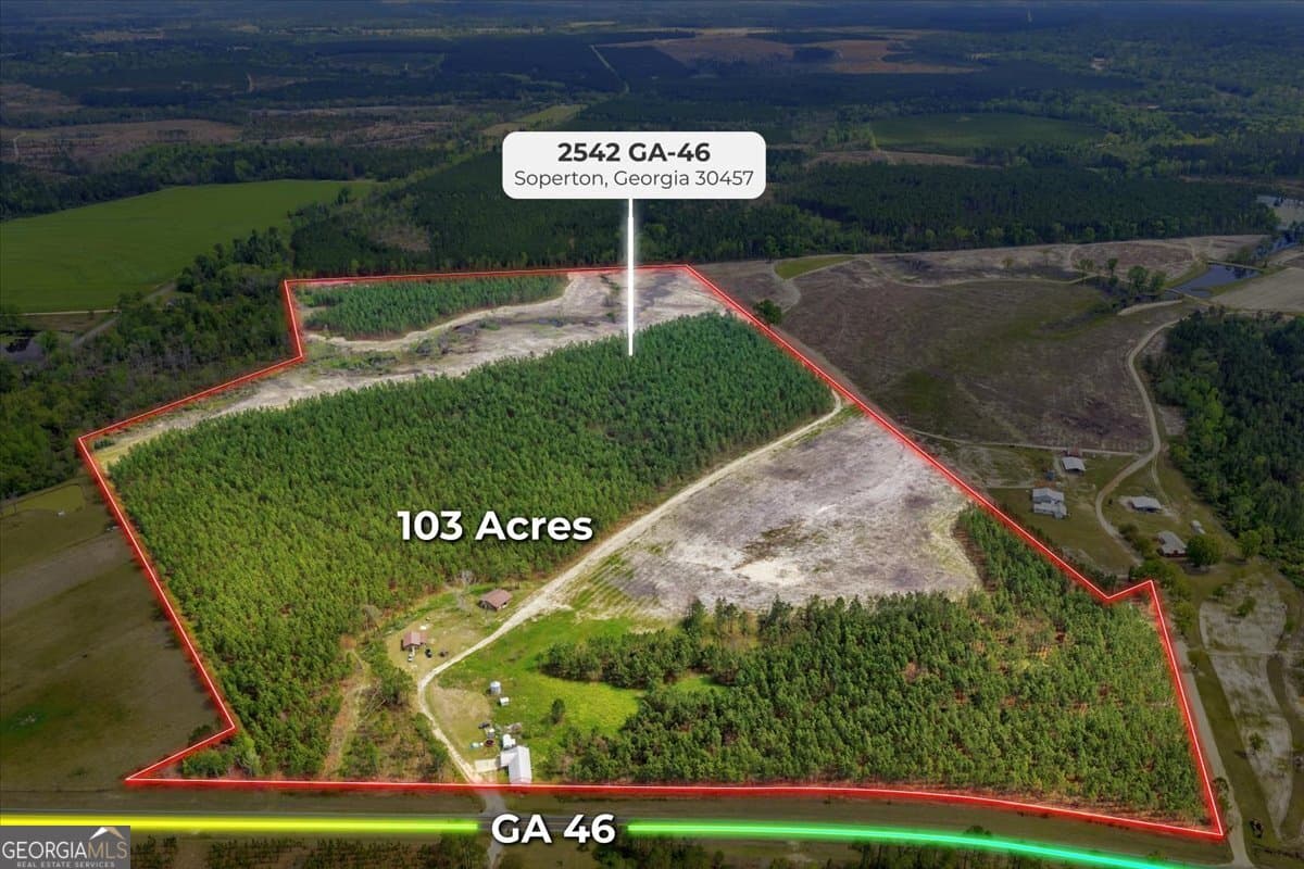 agriculture for sale at 2542 Ga Highway 46, Soperton, GA 30457 — photo 2