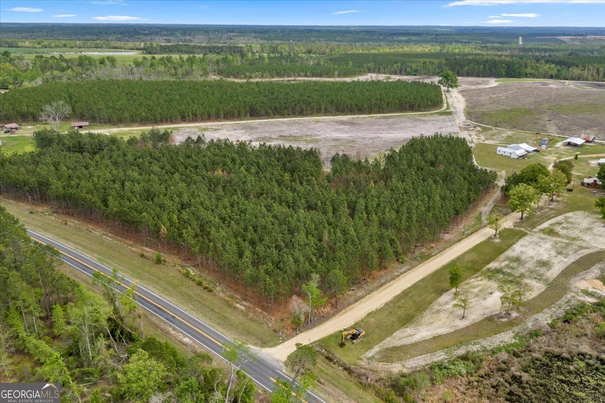 agriculture for sale at 2542 Ga Highway 46, Soperton, GA 30457 — photo 6