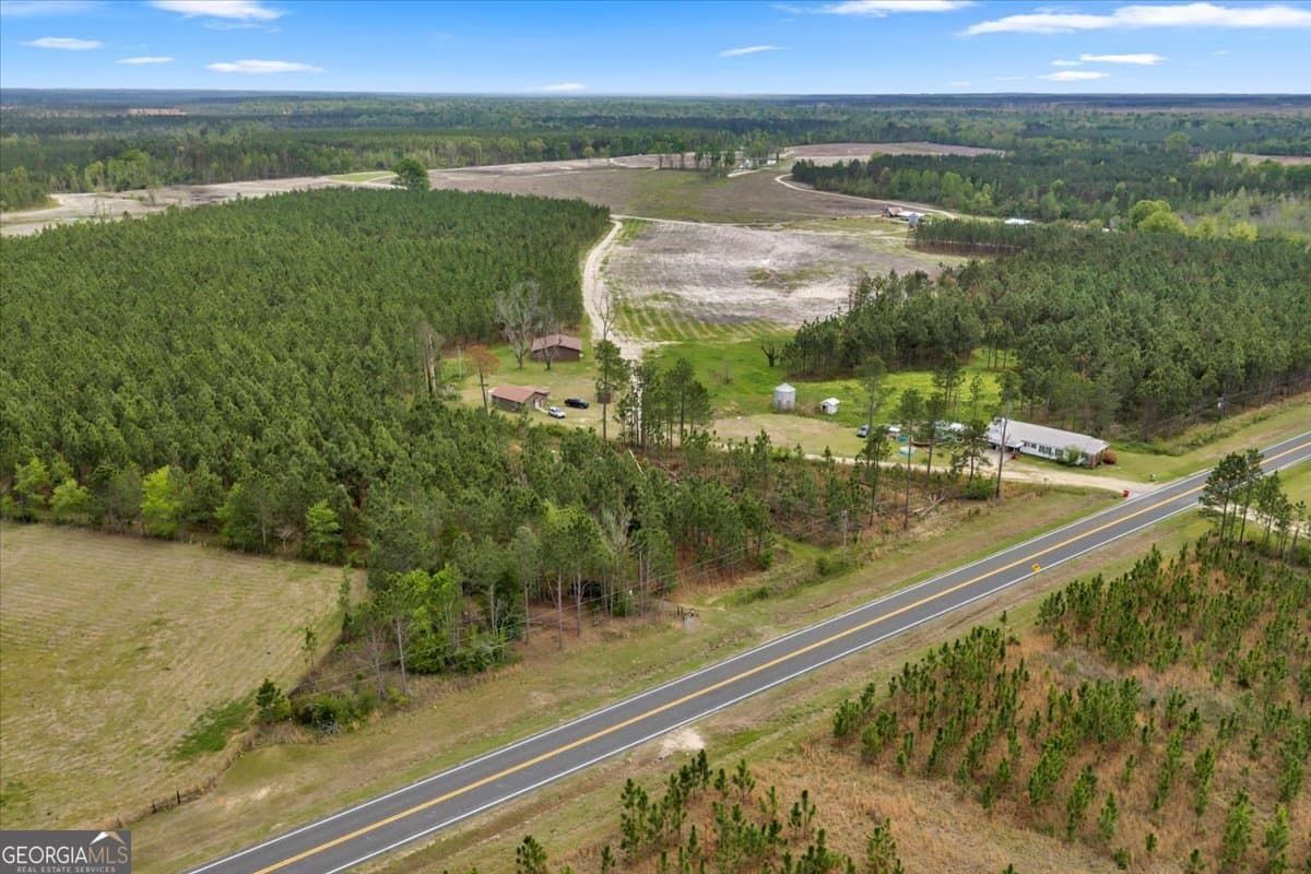 agriculture for sale at 2542 Ga Highway 46, Soperton, GA 30457 — photo 7