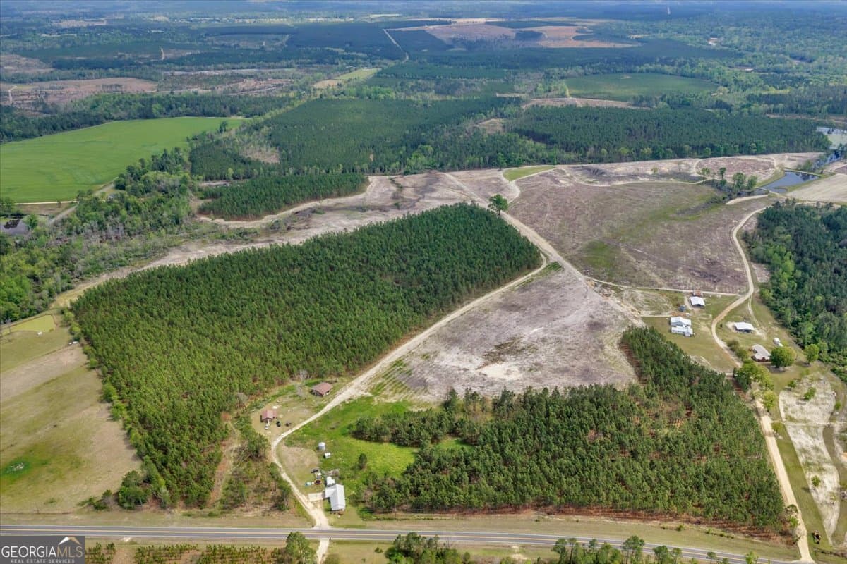 agriculture for sale at 2542 Ga Highway 46, Soperton, GA 30457 — photo 3