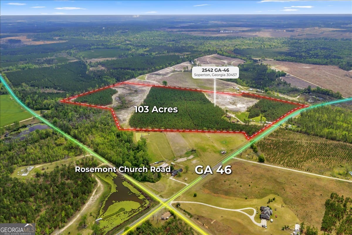 agriculture for sale at 2542 Ga Highway 46, Soperton, GA 30457