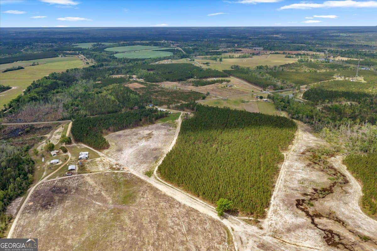 agriculture for sale at 2542 Ga Highway 46, Soperton, GA 30457 — photo 5