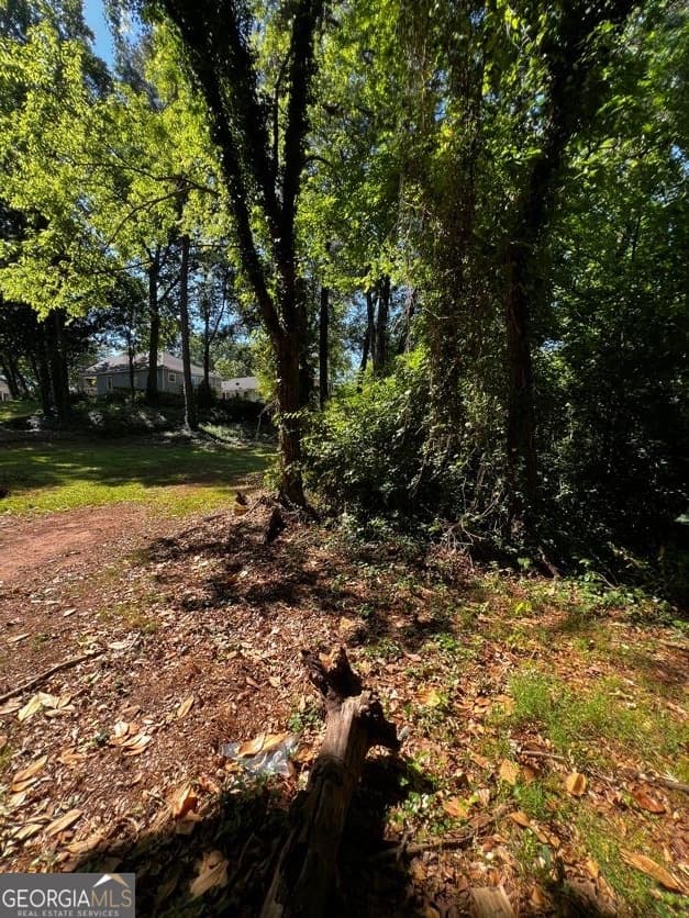residential lot for sale at 0 Dalton Street, Atlanta, GA 30315 — photo 3