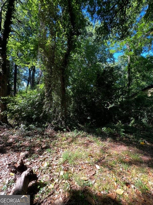 residential lot for sale at 0 Dalton Street, Atlanta, GA 30315 — photo 1 of 4