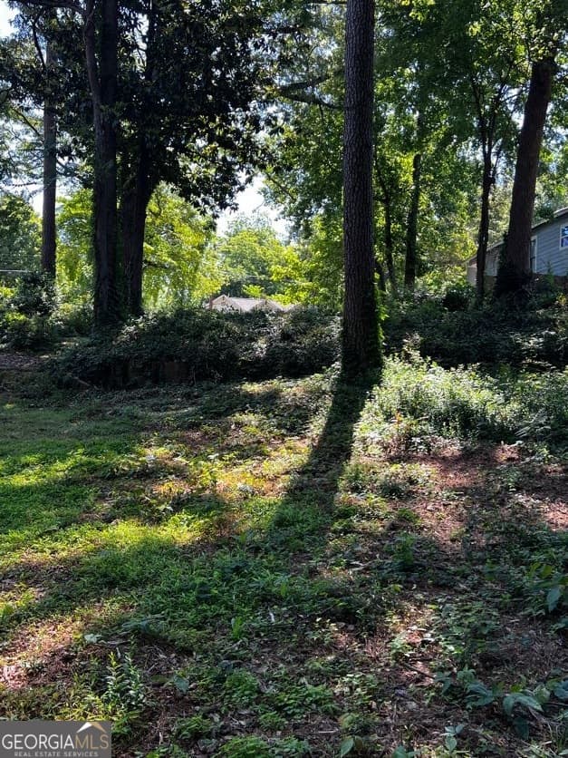 residential lot for sale at 0 Dalton Street, Atlanta, GA 30315 — photo 4