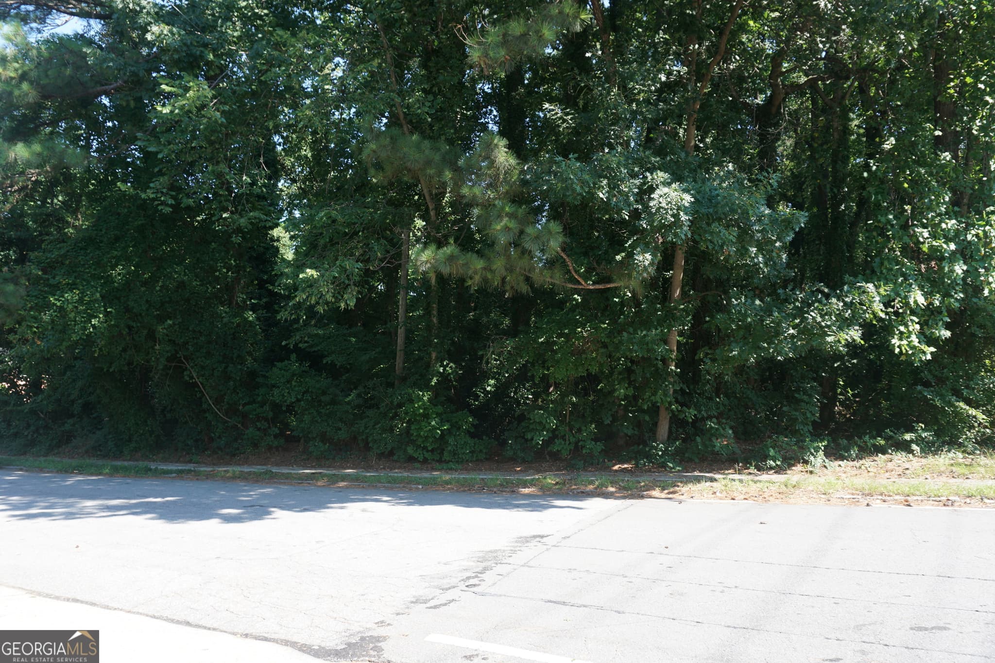 unimproved land for sale at 3020 Clairmont Road, Brookhaven, GA 30329 — photo 3