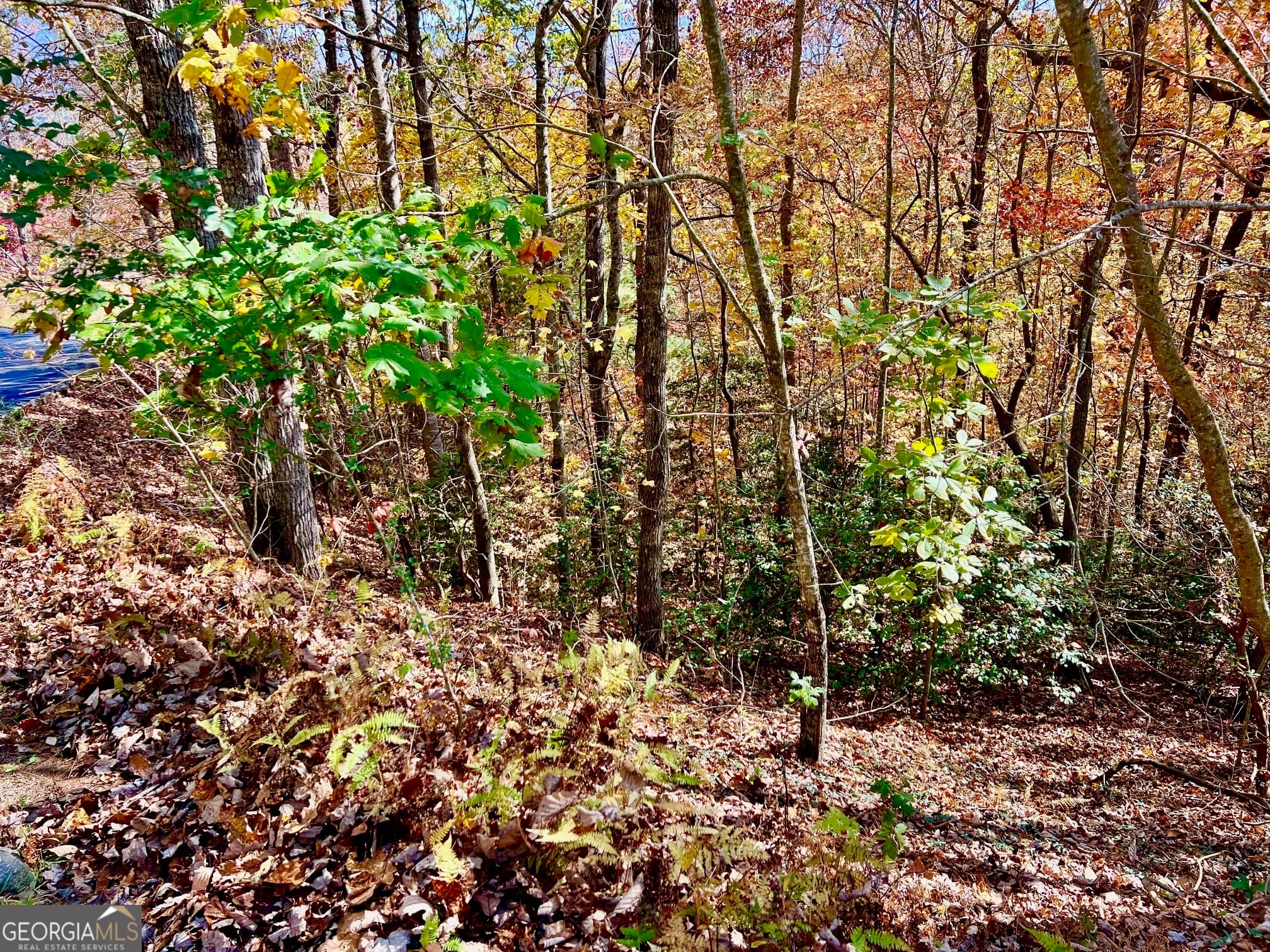 residential lot for sale at 13 Up the Ridge Road, Blairsville, GA 30512 — photo 2