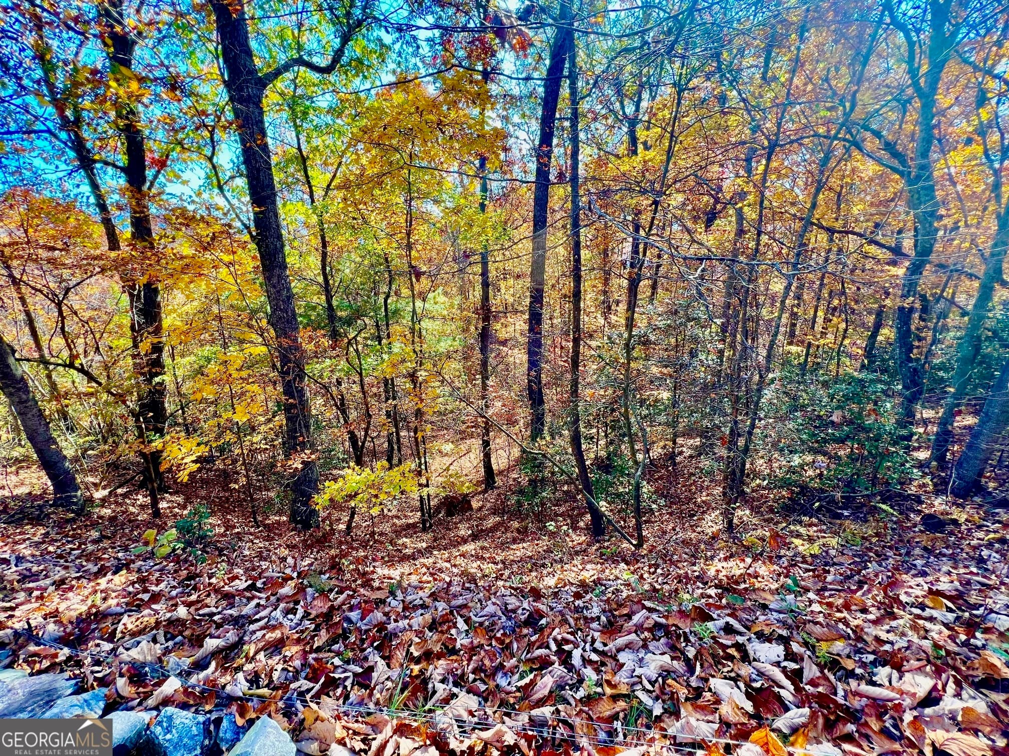 residential lot for sale at 13 Up the Ridge Road, Blairsville, GA 30512 — photo 6