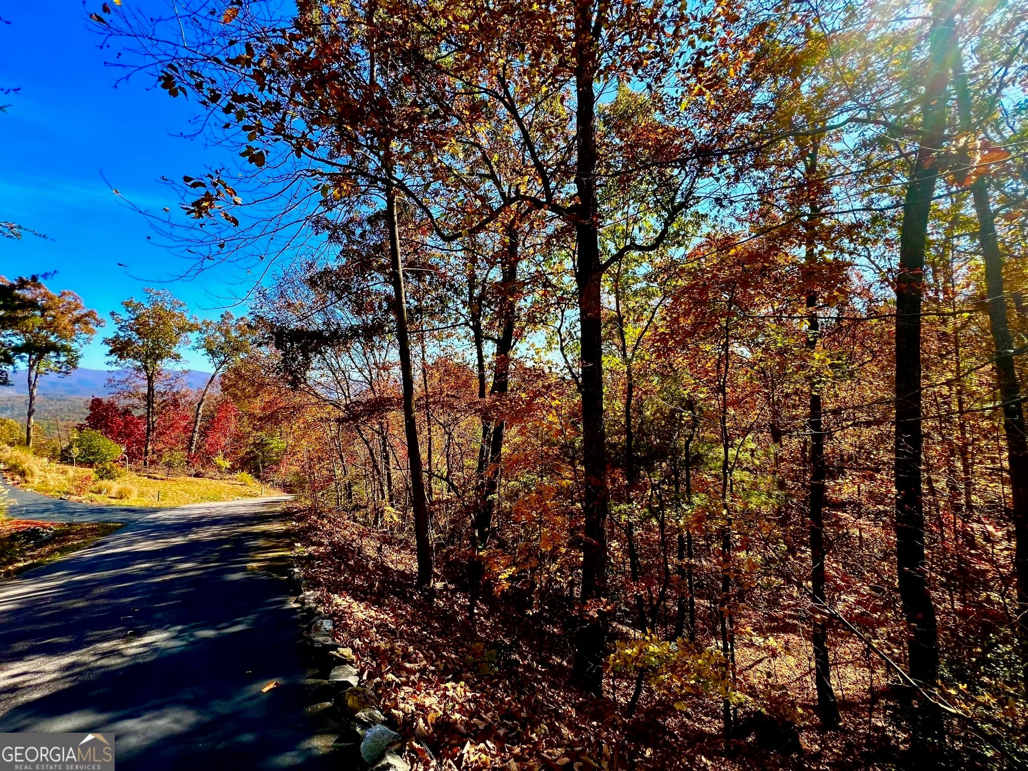 residential lot for sale at 13 Up the Ridge Road, Blairsville, GA 30512 — photo 7