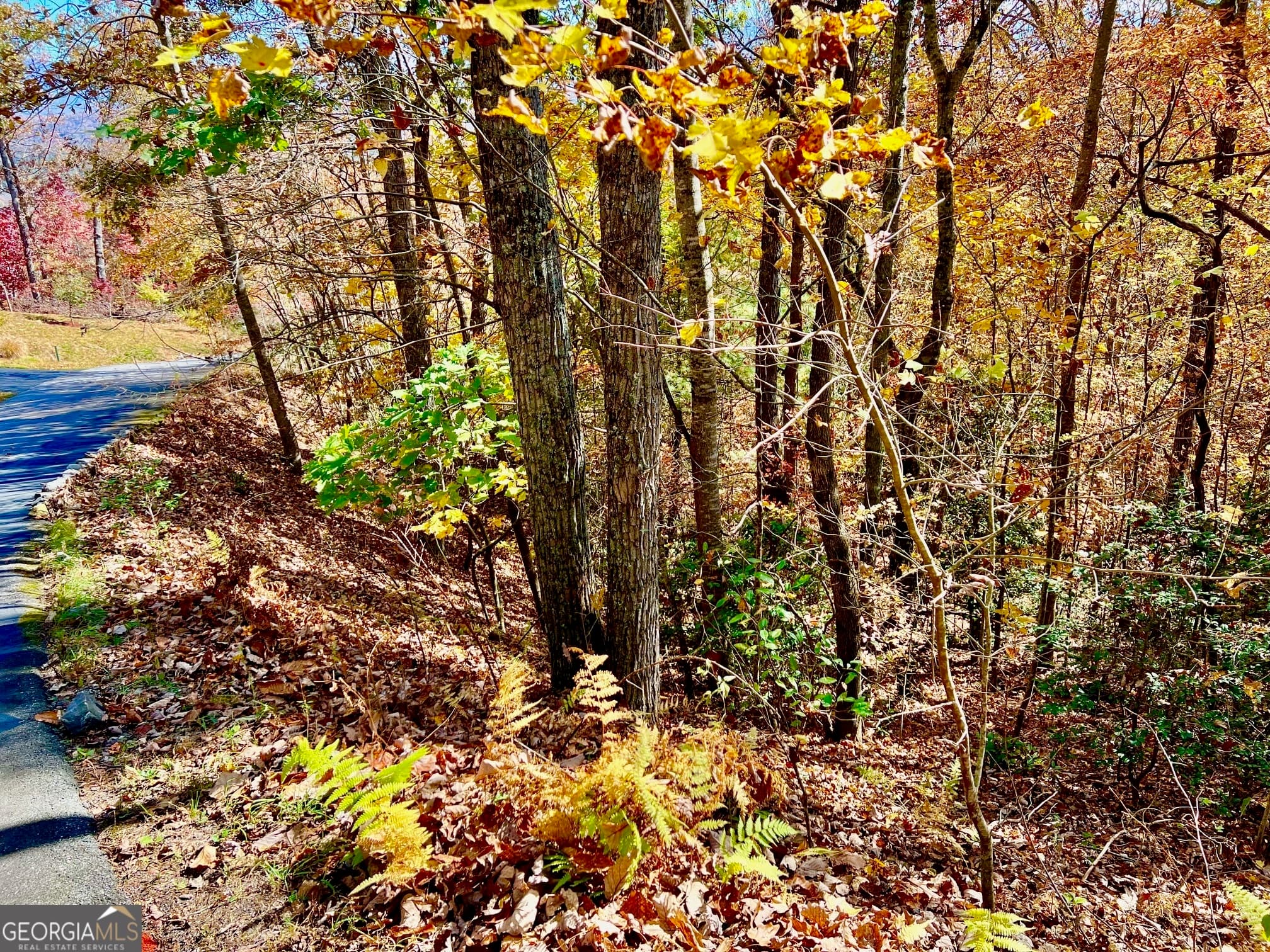 residential lot for sale at 13 Up the Ridge Road, Blairsville, GA 30512 — photo 3