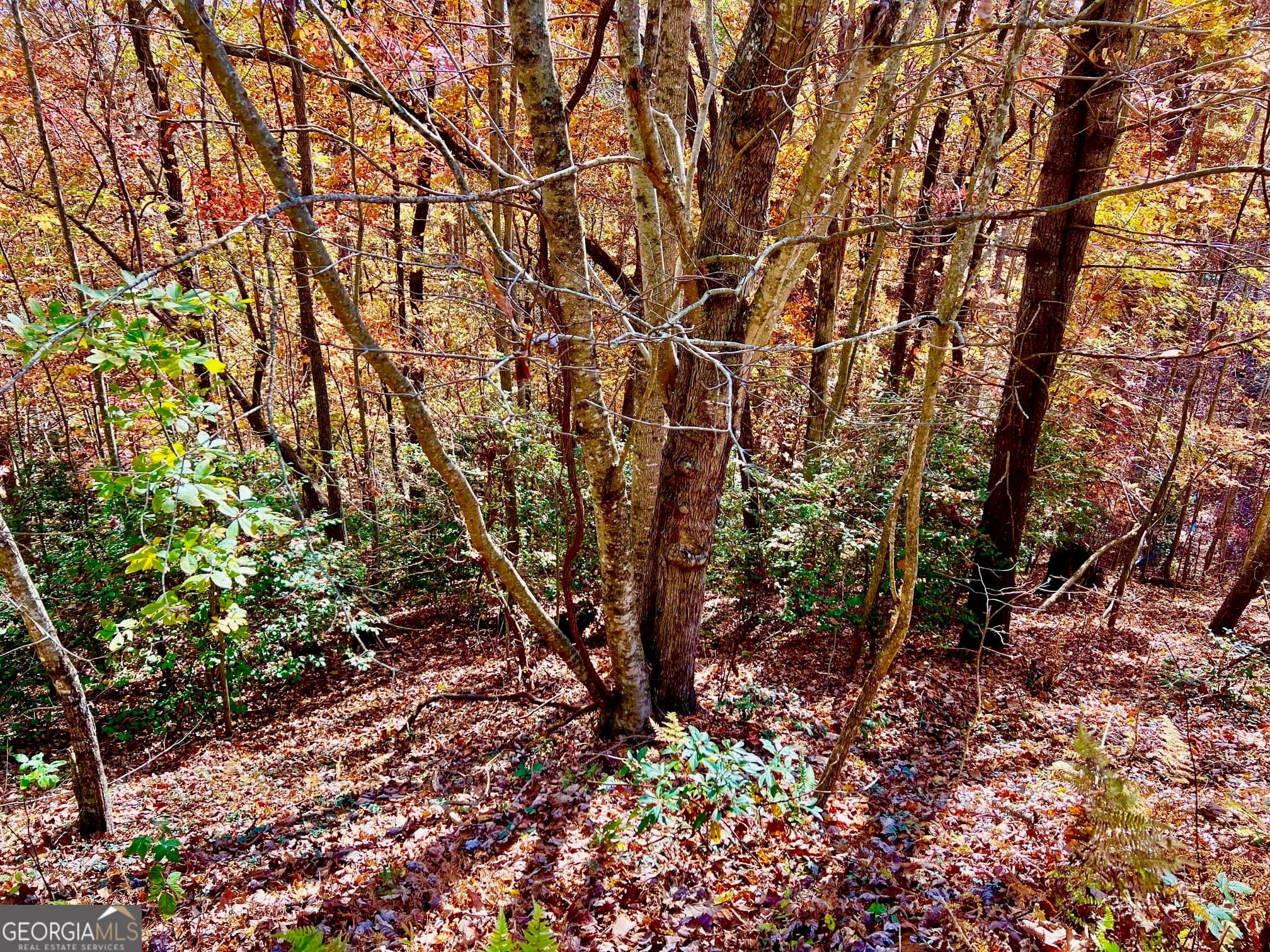 residential lot for sale at 13 Up the Ridge Road, Blairsville, GA 30512 — photo 1 of 11