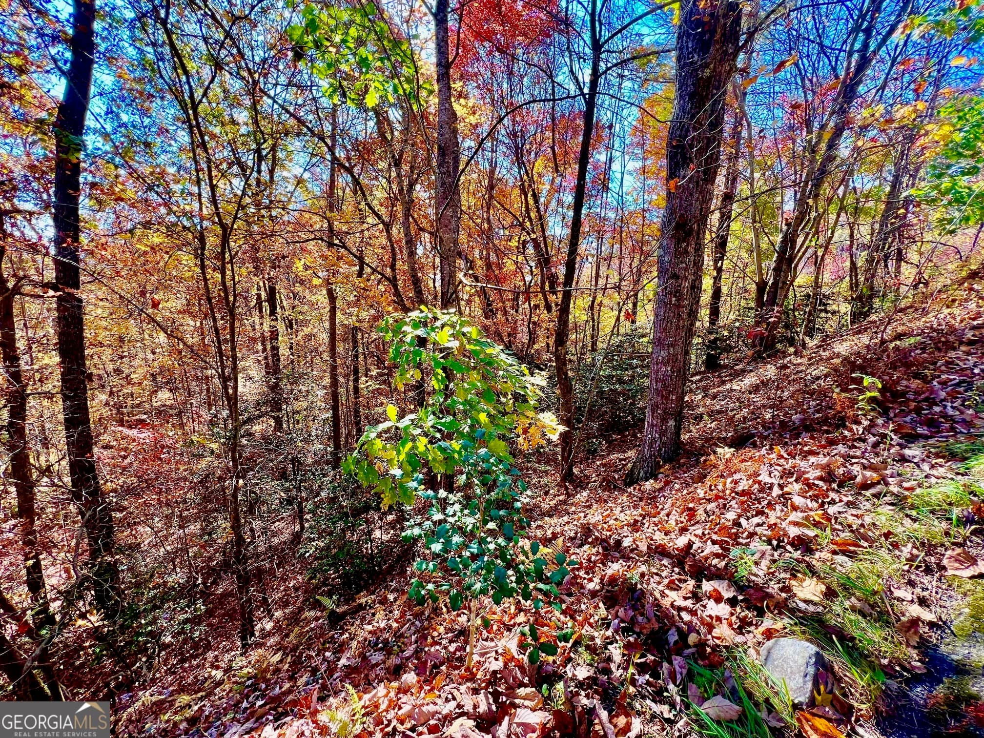 residential lot for sale at 13 Up the Ridge Road, Blairsville, GA 30512 — photo 5