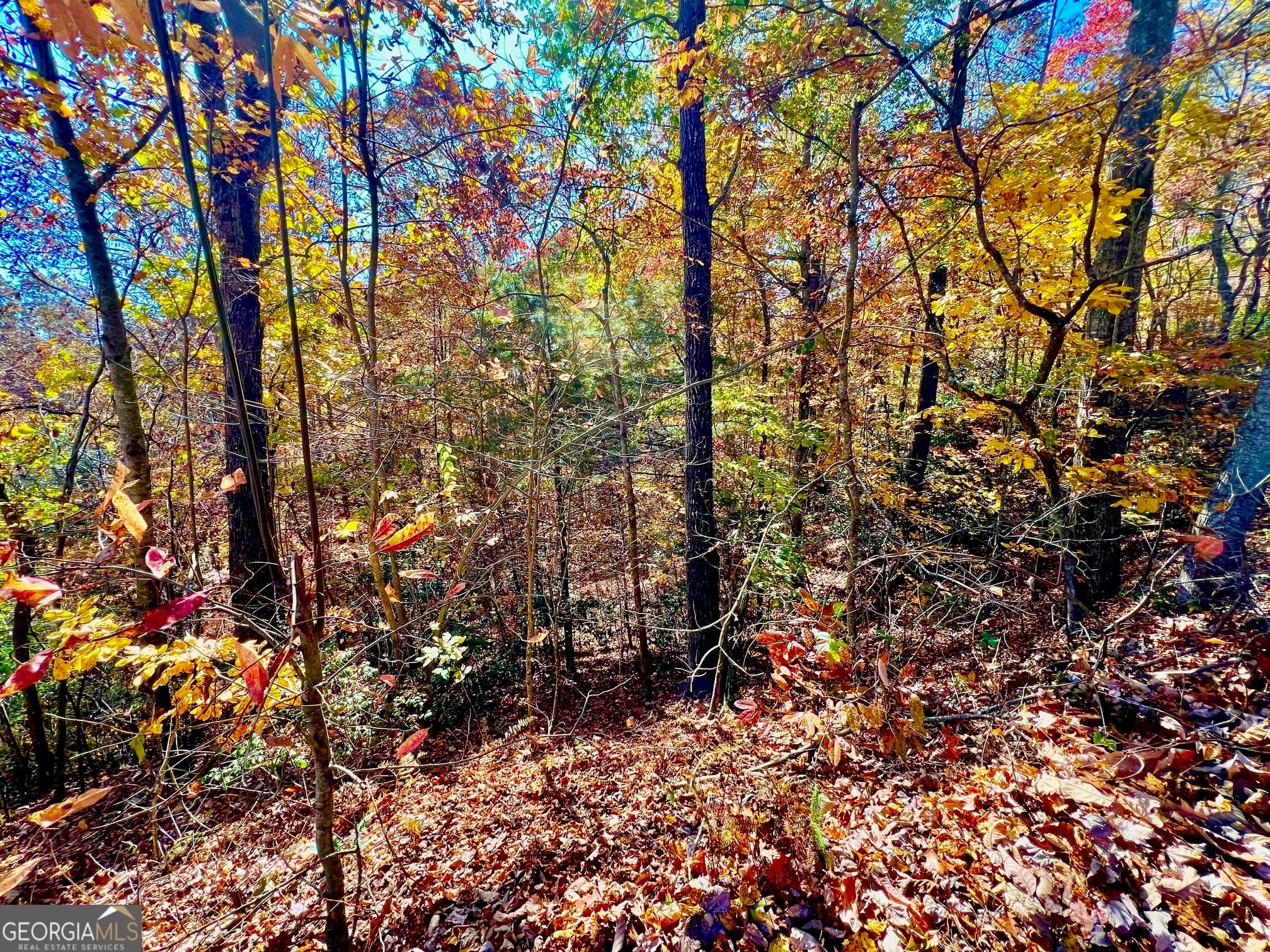 residential lot for sale at 13 Up the Ridge Road, Blairsville, GA 30512 — photo 9