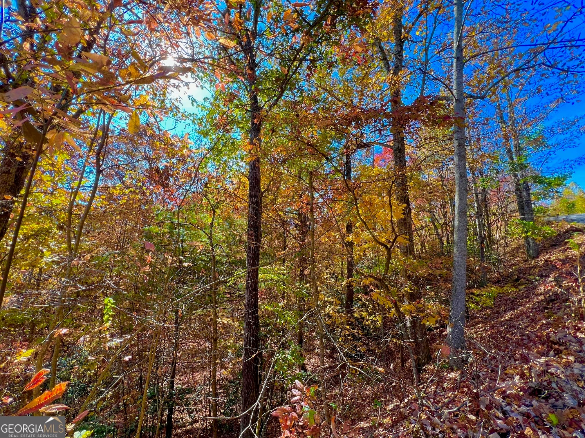 residential lot for sale at 13 Up the Ridge Road, Blairsville, GA 30512 — photo 10