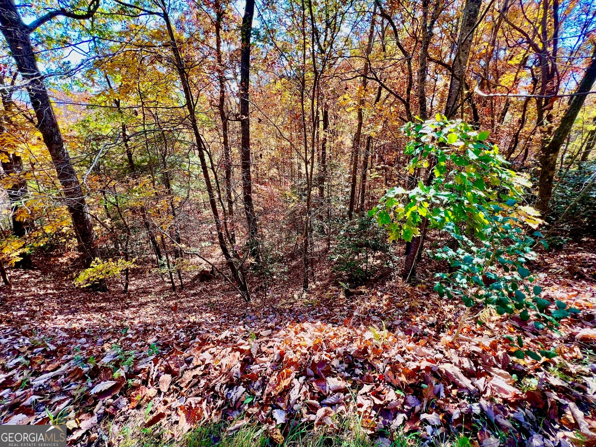 residential lot for sale at 13 Up the Ridge Road, Blairsville, GA 30512 — photo 4