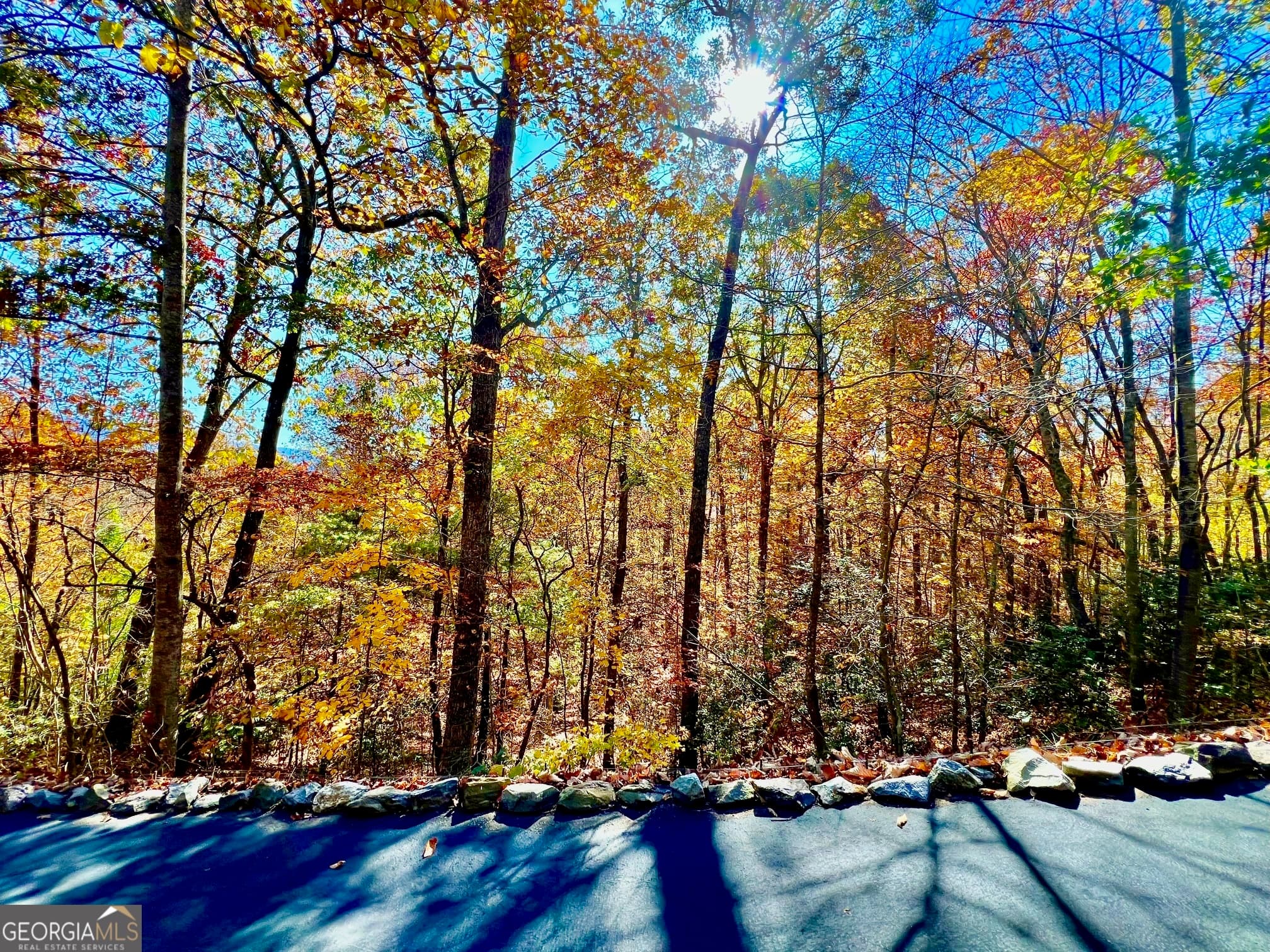 residential lot for sale at 13 Up the Ridge Road, Blairsville, GA 30512 — photo 8