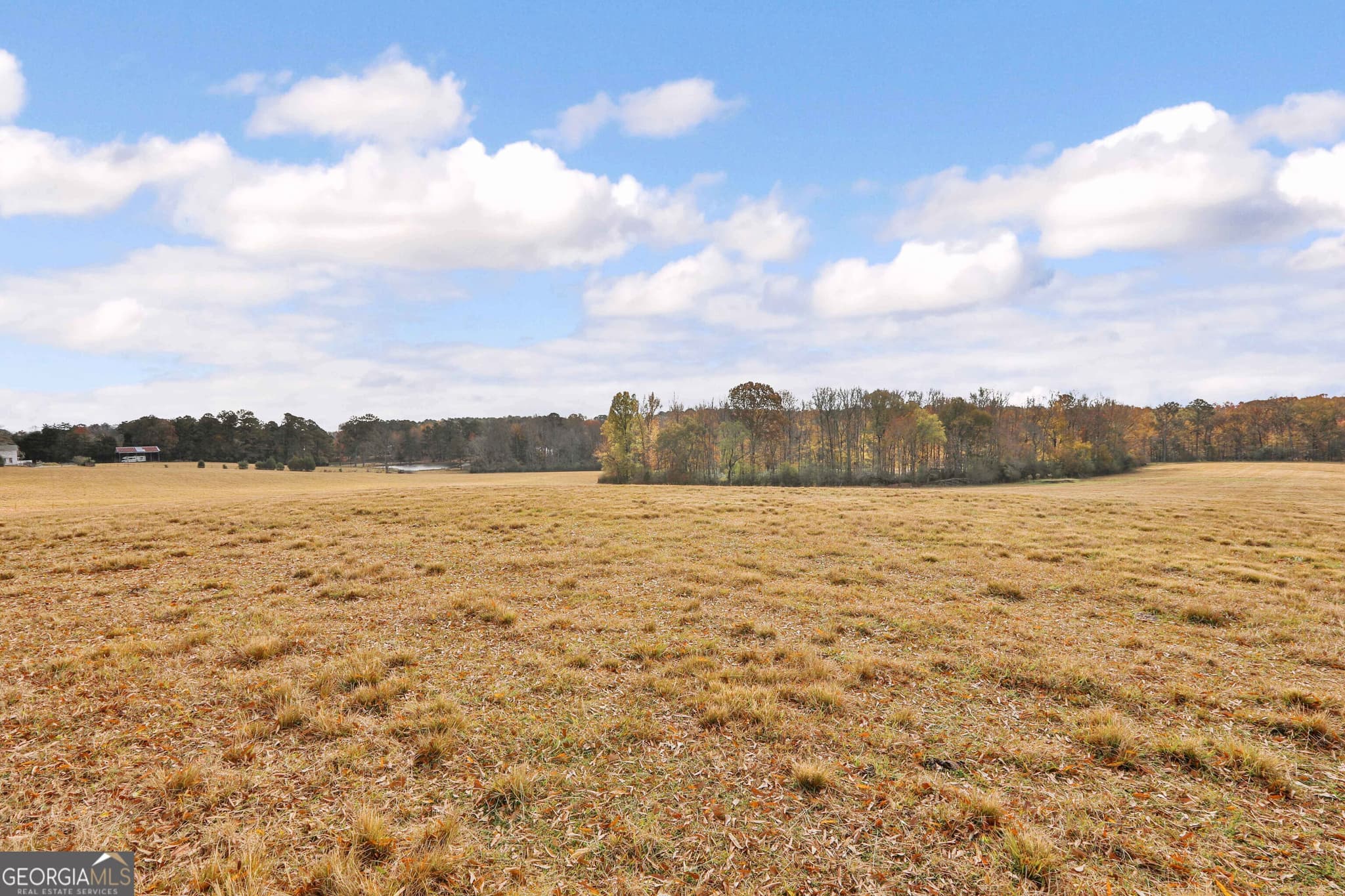 estate lot for sale at LOT 7 Mask Road - Hanner's Farm South, Brooks, GA 30205 — photo 6