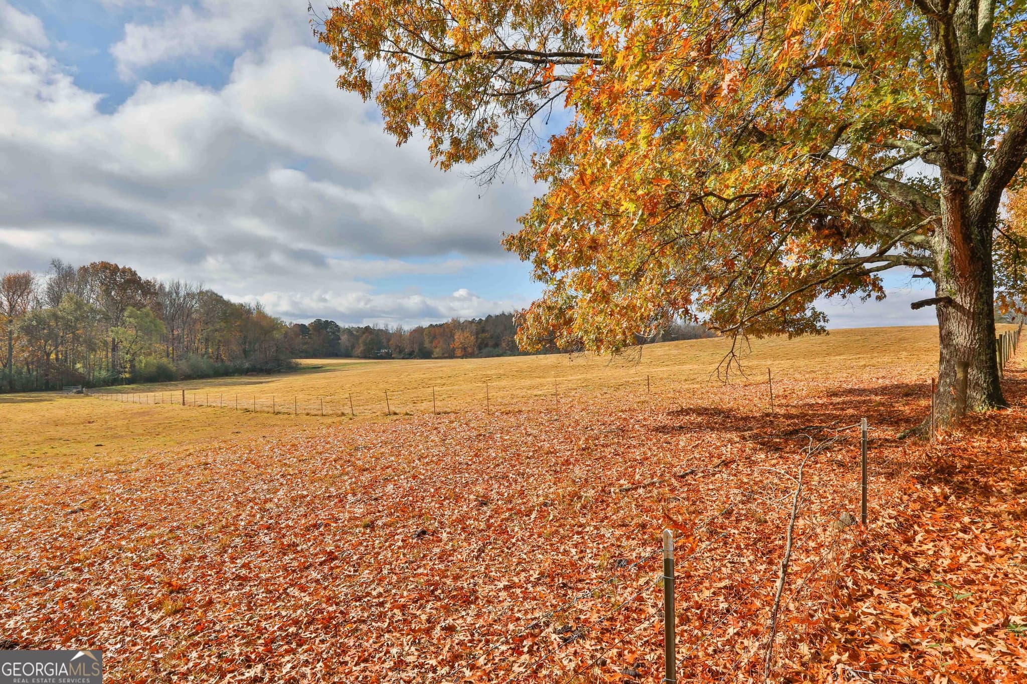 estate lot for sale at LOT 7 Mask Road - Hanner's Farm South, Brooks, GA 30205 — photo 9