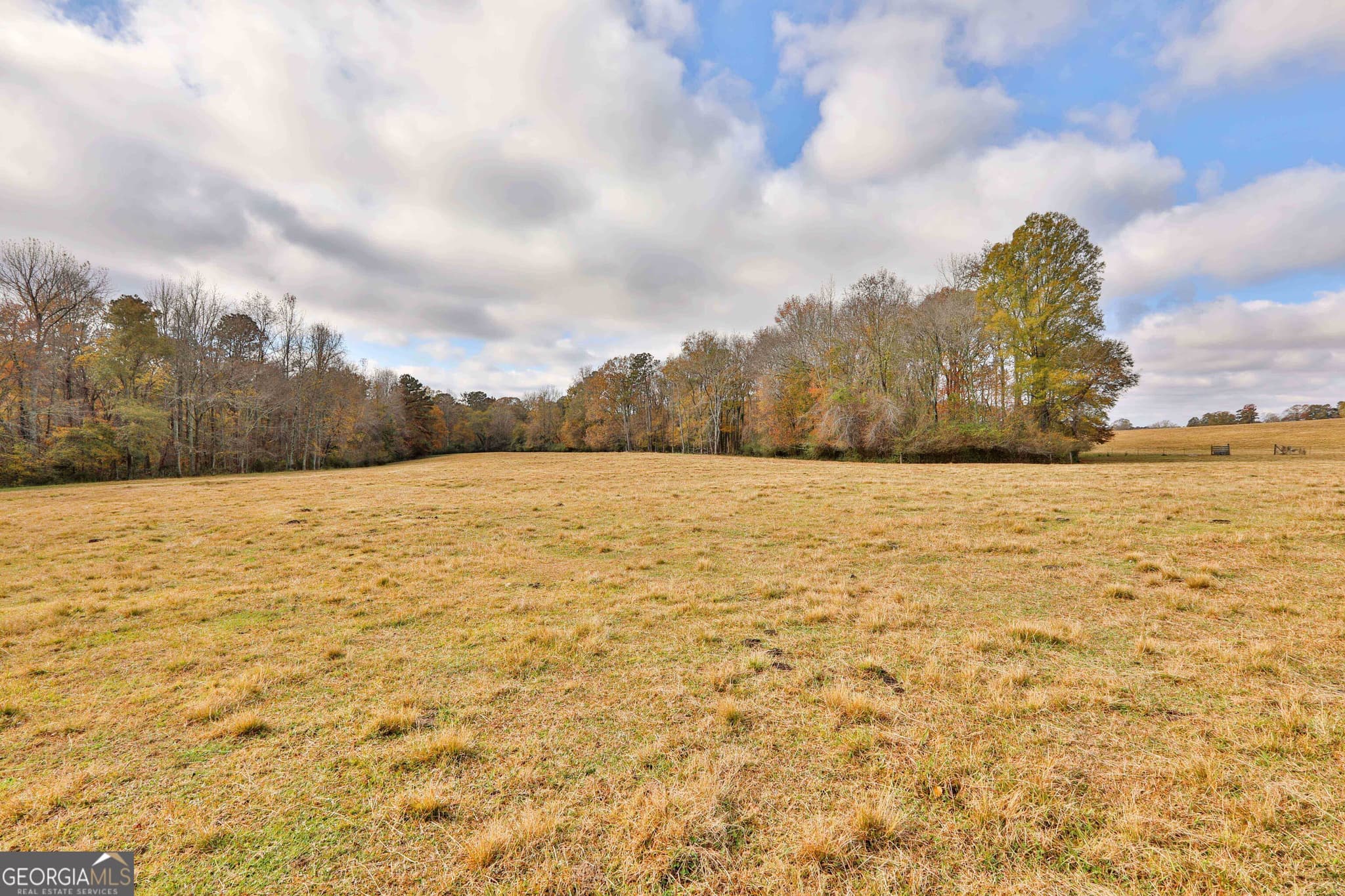 estate lot for sale at LOT 7 Mask Road - Hanner's Farm South, Brooks, GA 30205 — photo 10