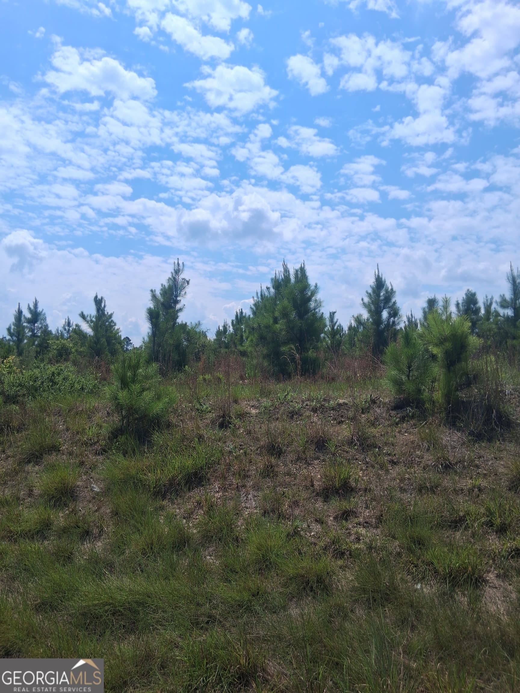 residential lot for sale at 0 Abbeville Highway, Eastman, GA 31023 — photo 6