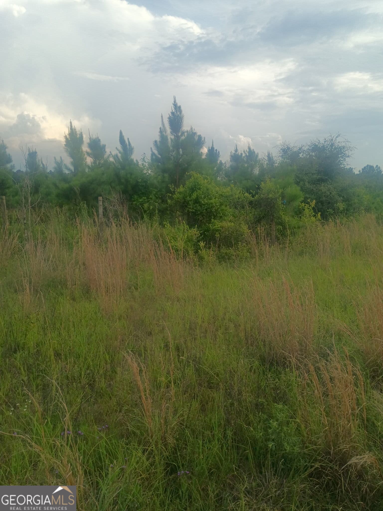 residential lot for sale at 0 Abbeville Highway, Eastman, GA 31023 — photo 7