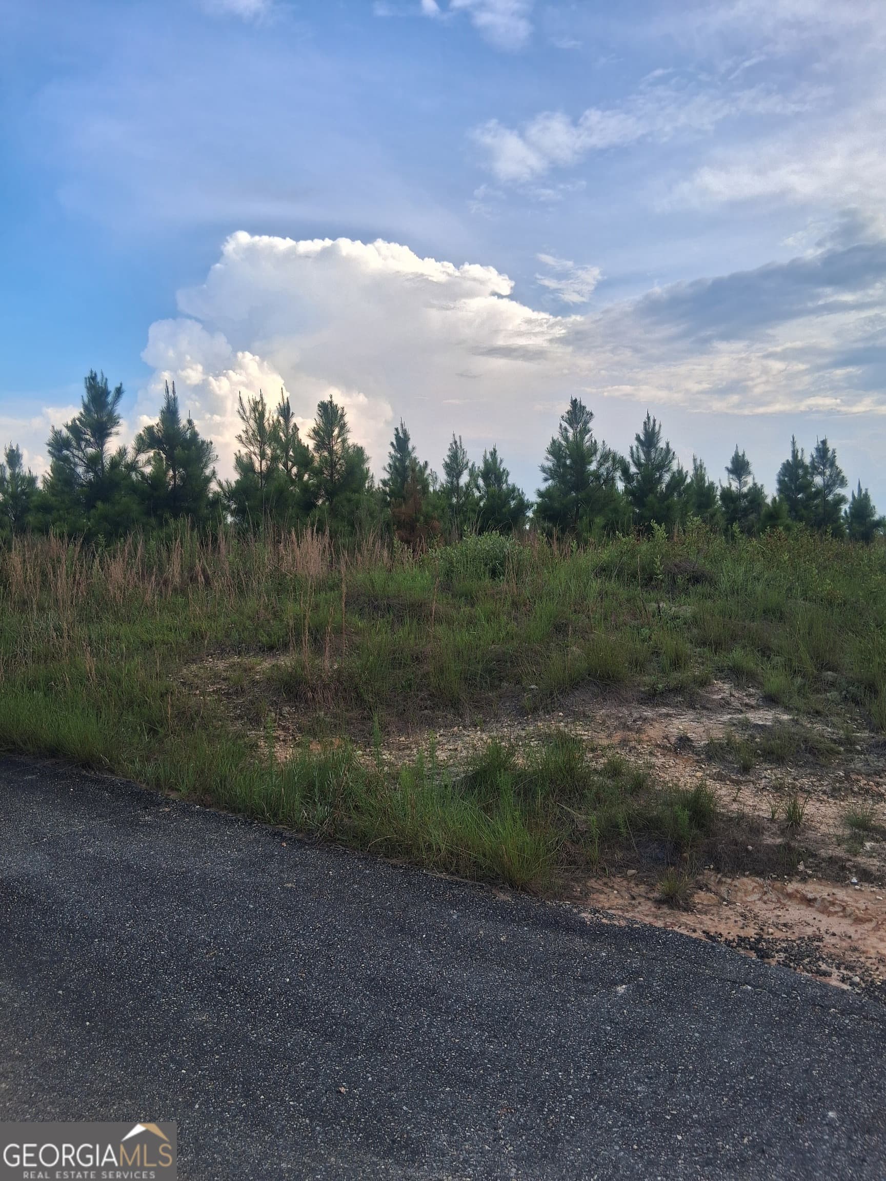 residential lot for sale at 0 Abbeville Highway, Eastman, GA 31023 — photo 3
