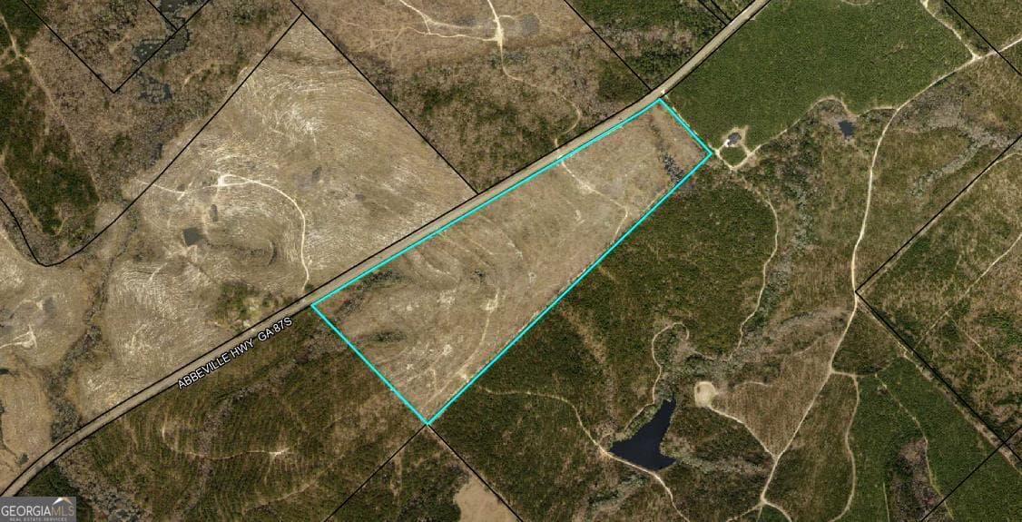 residential lot for sale at 0 Abbeville Highway, Eastman, GA 31023 — photo 1 of 10
