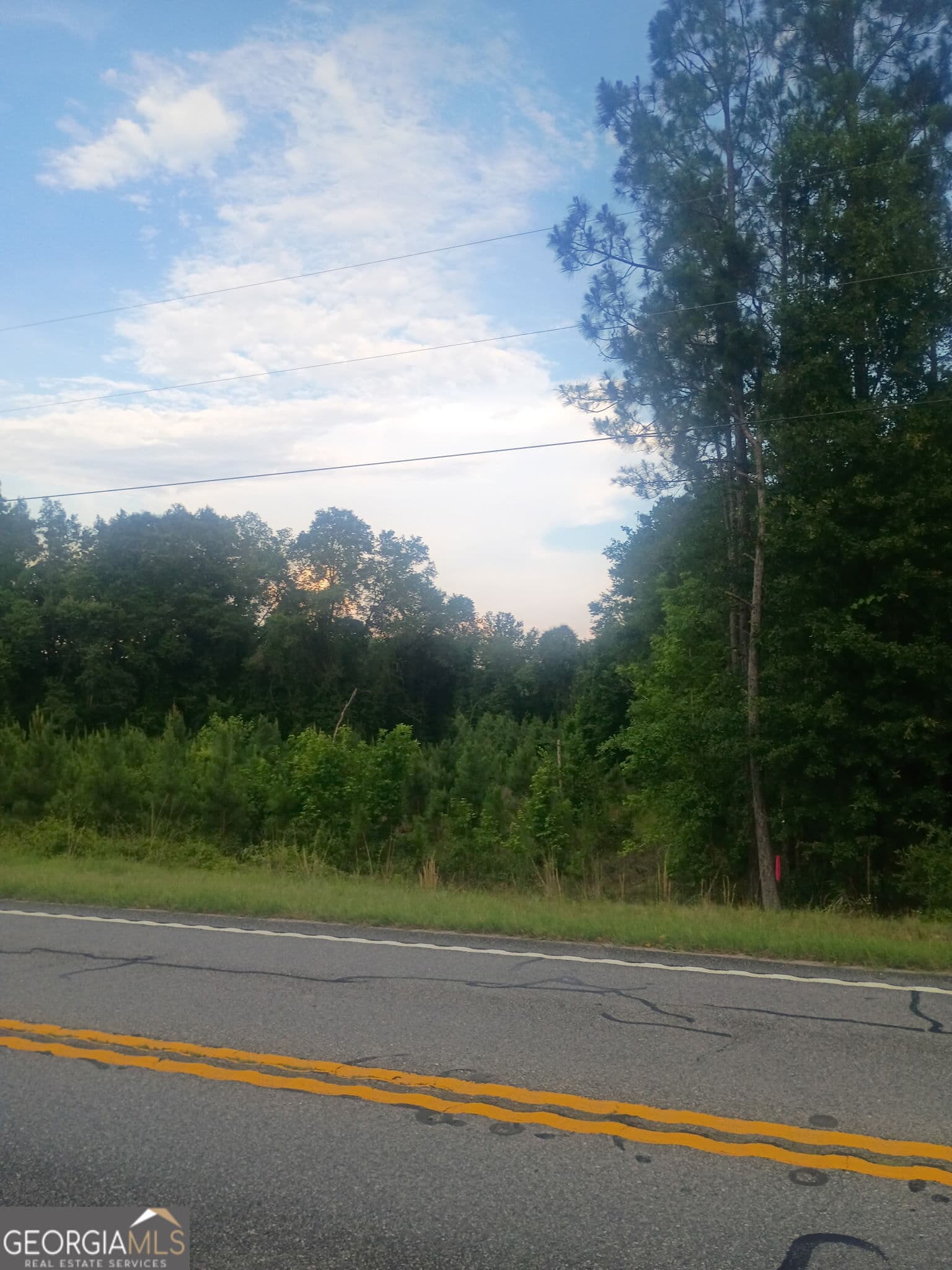 residential lot for sale at 0 Abbeville Highway, Eastman, GA 31023 — photo 9