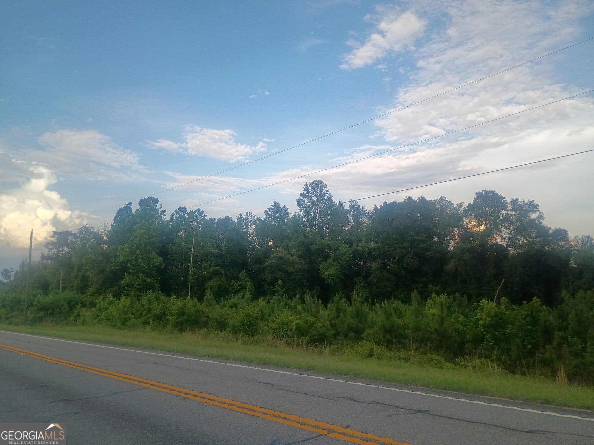 residential lot for sale at 0 Abbeville Highway, Eastman, GA 31023 — photo 10