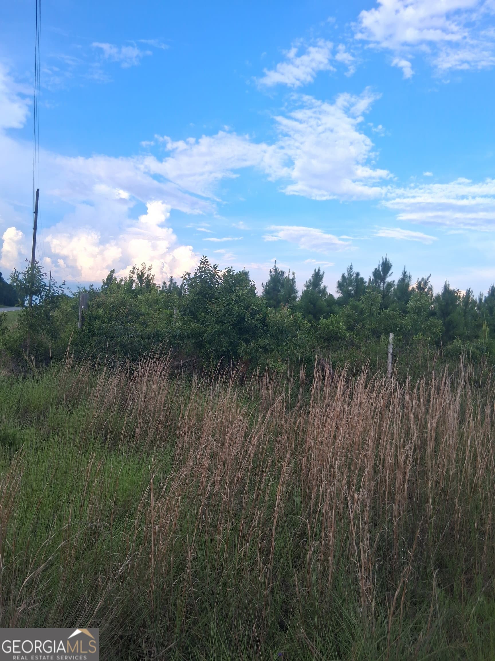 residential lot for sale at 0 Abbeville Highway, Eastman, GA 31023 — photo 4
