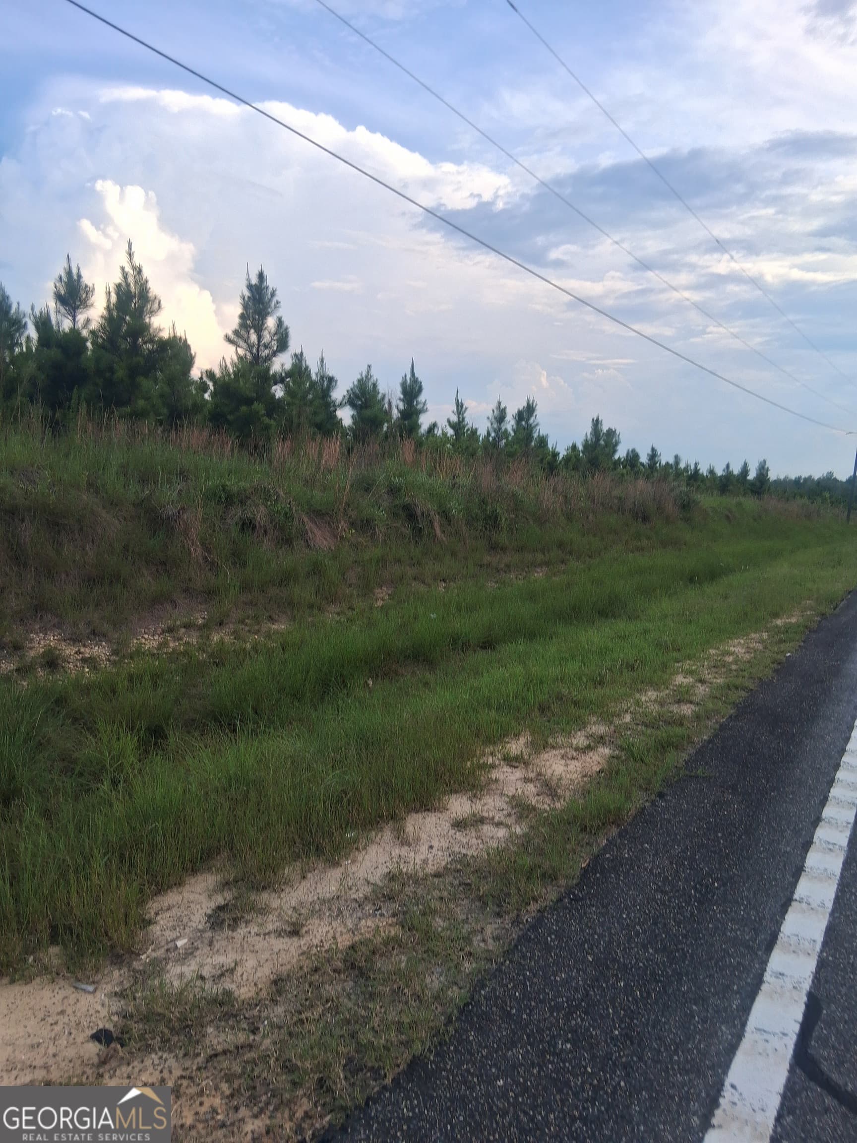 residential lot for sale at 0 Abbeville Highway, Eastman, GA 31023 — photo 8