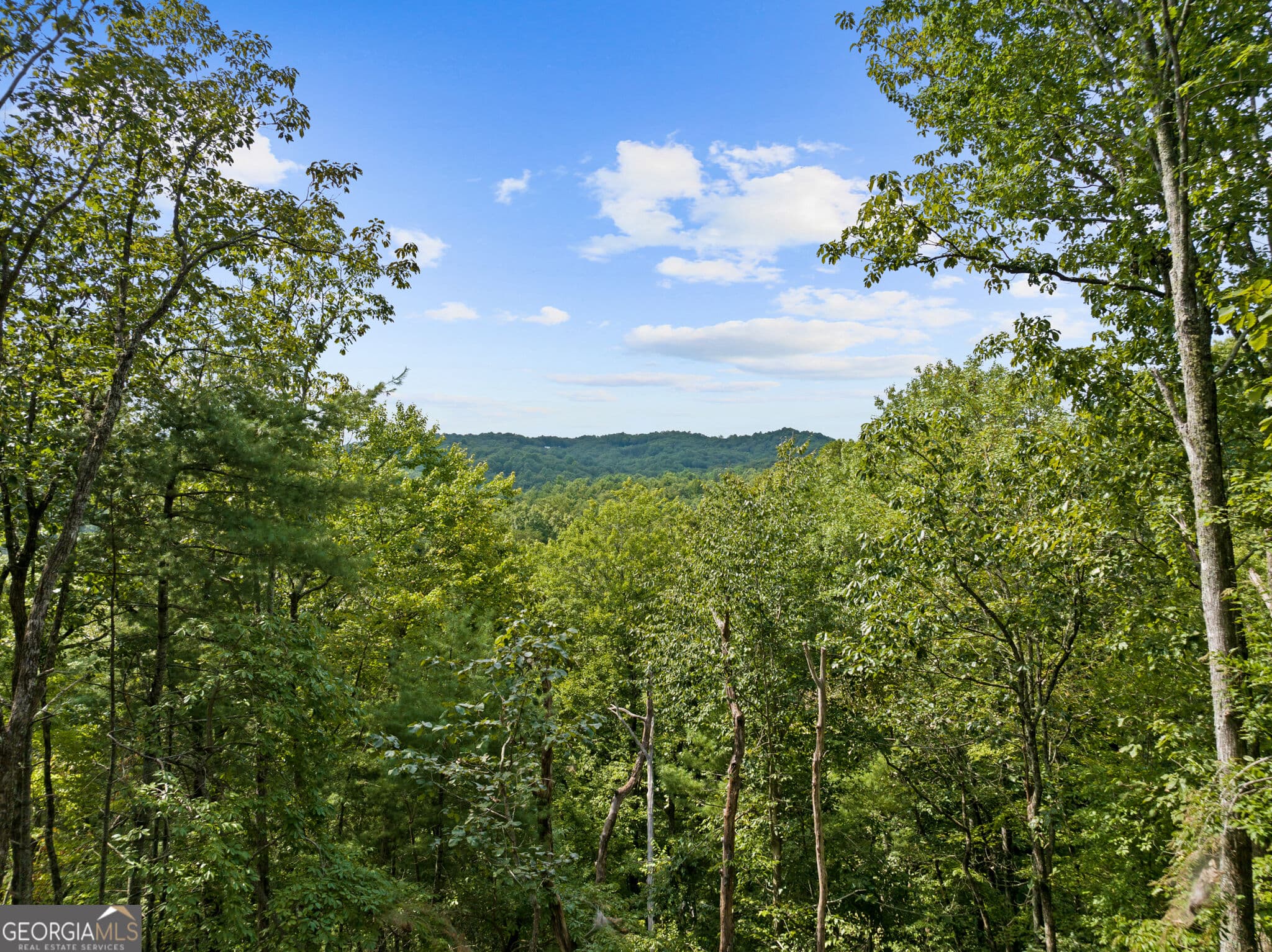 2 bedroom, 2 bathroom, 1,168 sq ft cabin,single family residence for sale at 21 Mountain View Trail 3,4, Cherry Log, GA 30522 — photo 3